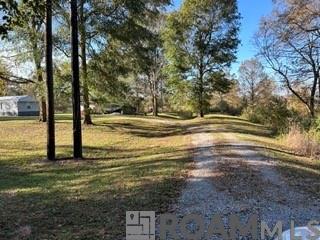 474 Spring Hill Cemetery Road, Lecompte, Louisiana image 10