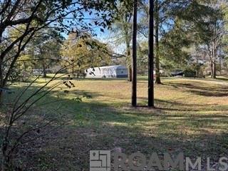 474 Spring Hill Cemetery Road, Lecompte, Louisiana image 11