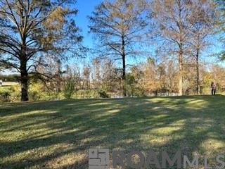 474 Spring Hill Cemetery Road, Lecompte, Louisiana image 20