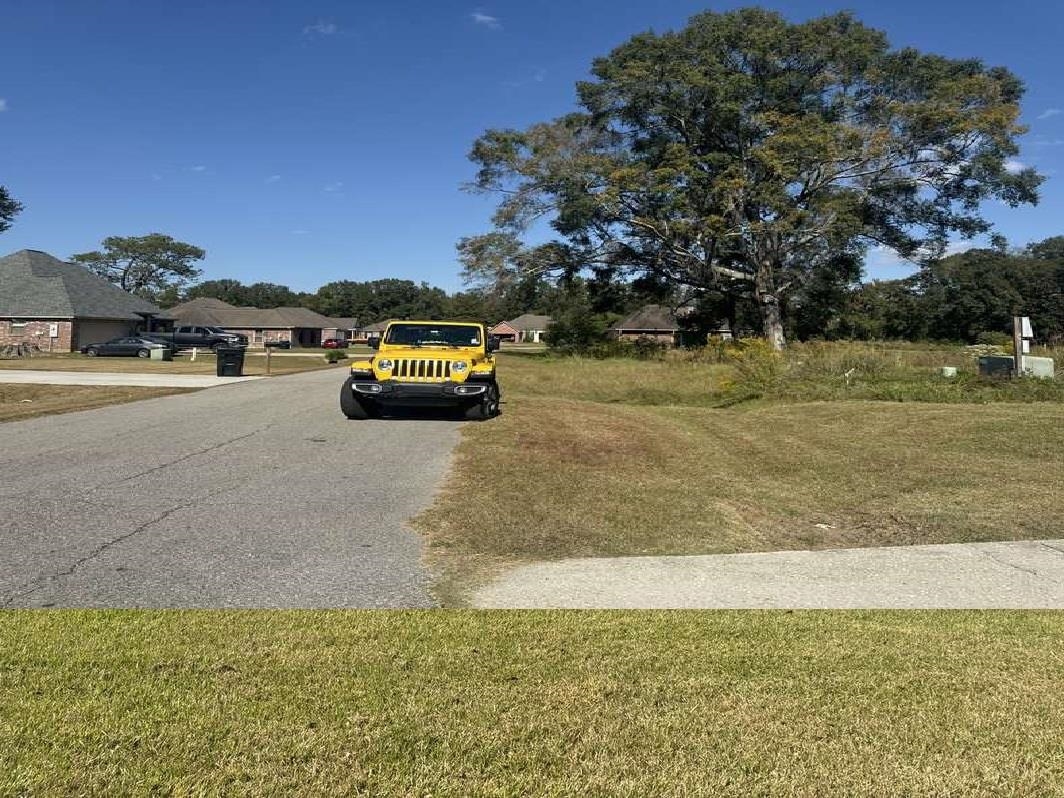 17174 Cherokee Trace, Independence, Louisiana image 6