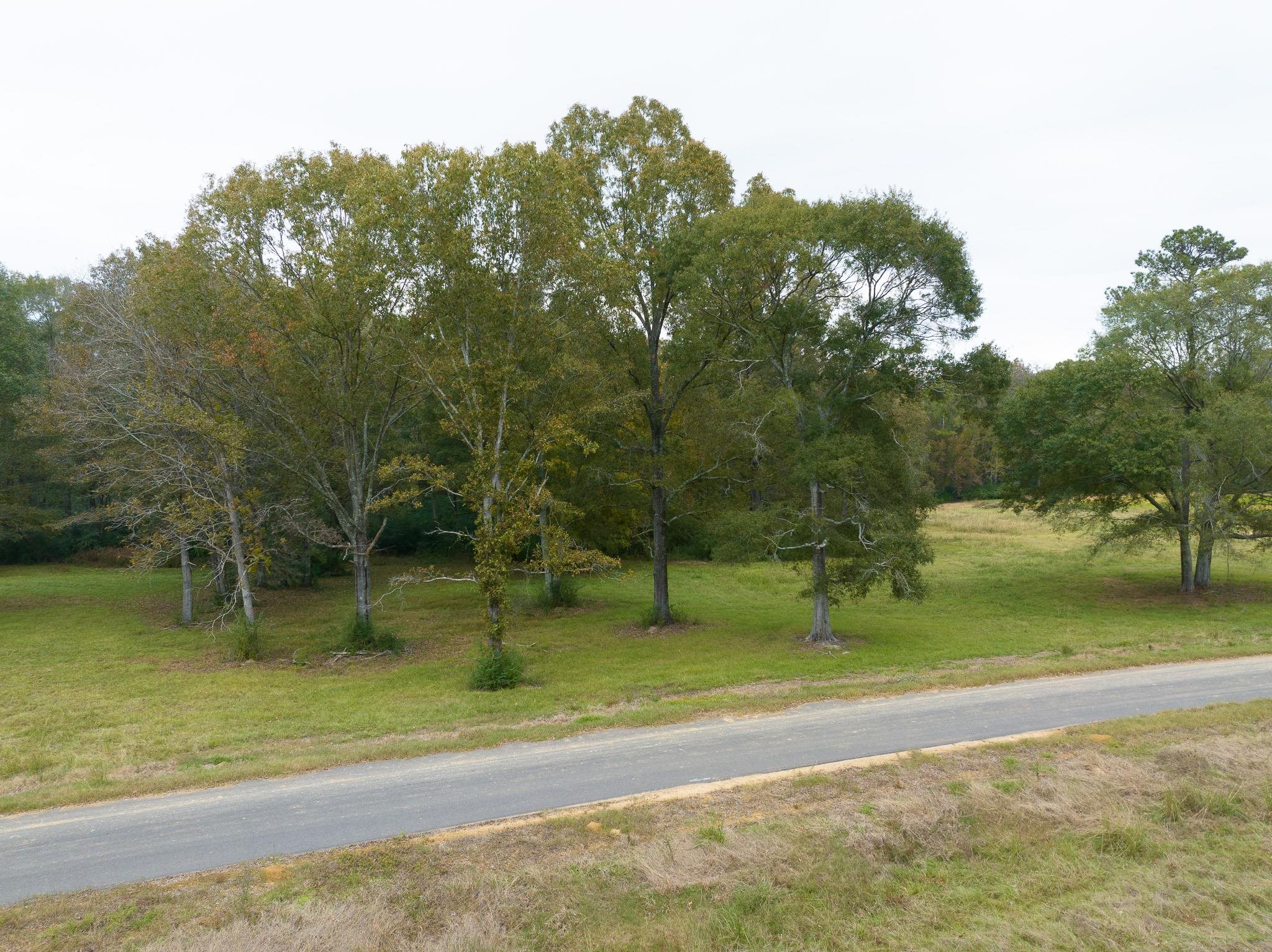 80107 Rosemary Lane, Saint Francisville, Louisiana image 1