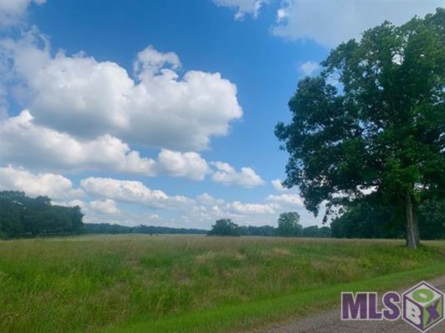 80107 Rosemary Lane, Saint Francisville, Louisiana image 10