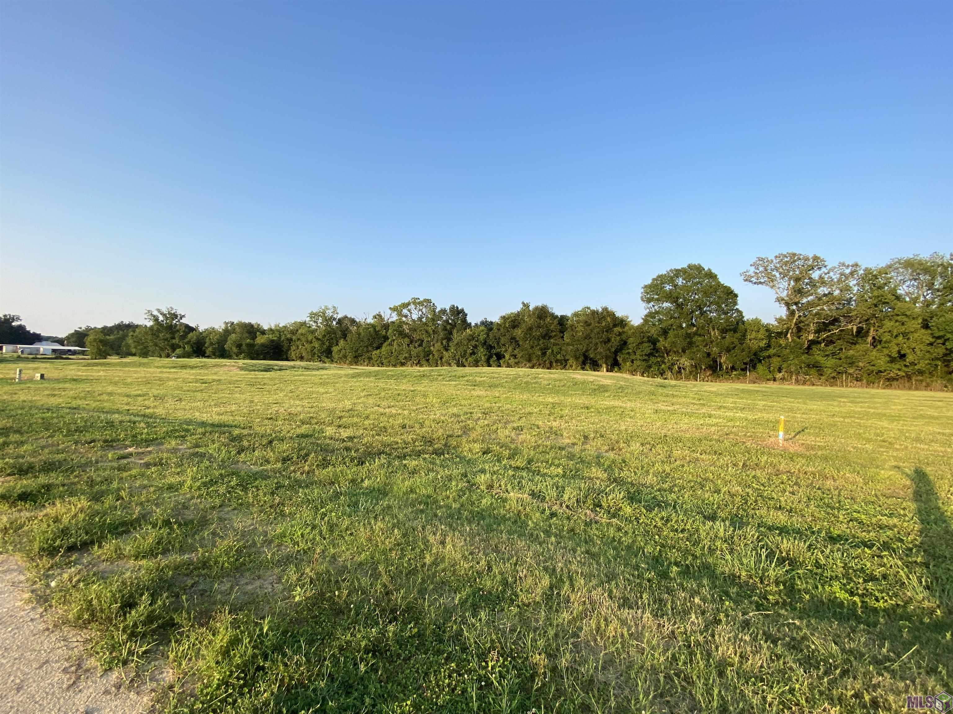 Lot 30 Buddy Gore Rd, Gonzales, Louisiana image 1