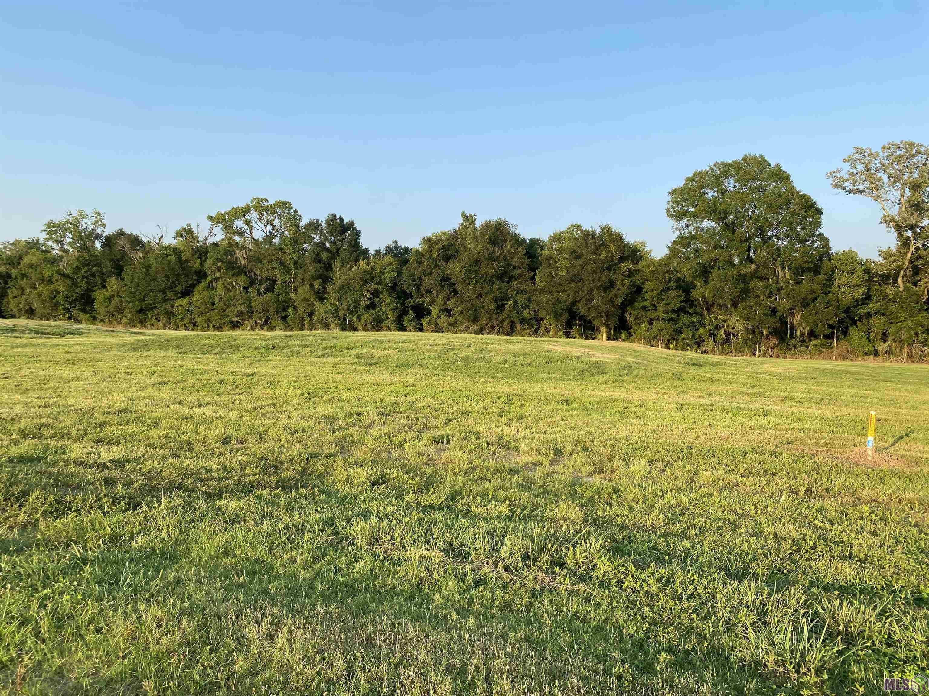 Lot 30 Buddy Gore Rd, Gonzales, Louisiana image 4