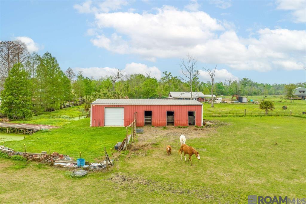 32440 Carolyn Dr, Paulina, Louisiana image 14