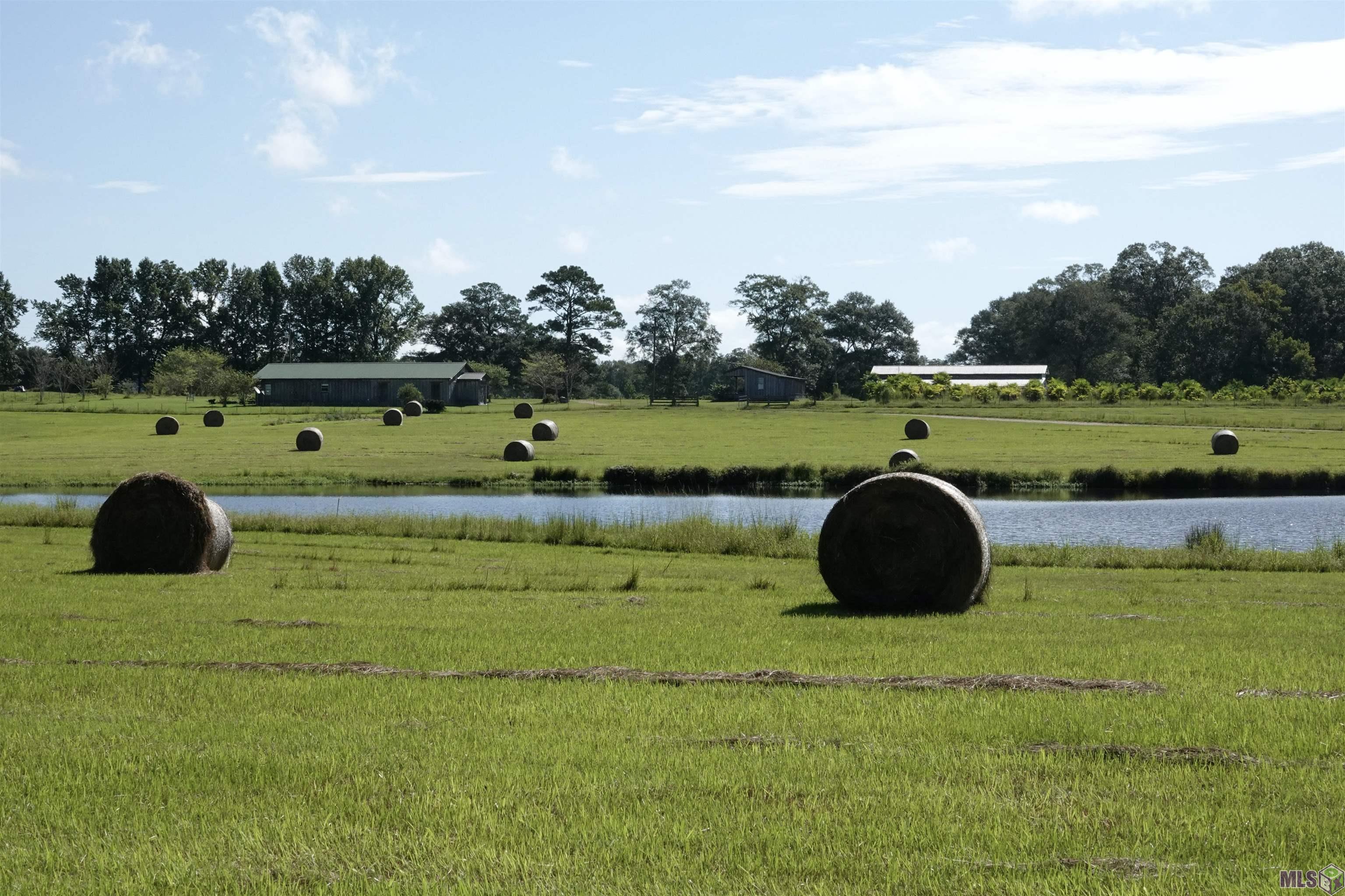 TBD Jones Vaughn Creek Rd, Saint Francisville, Louisiana image 5