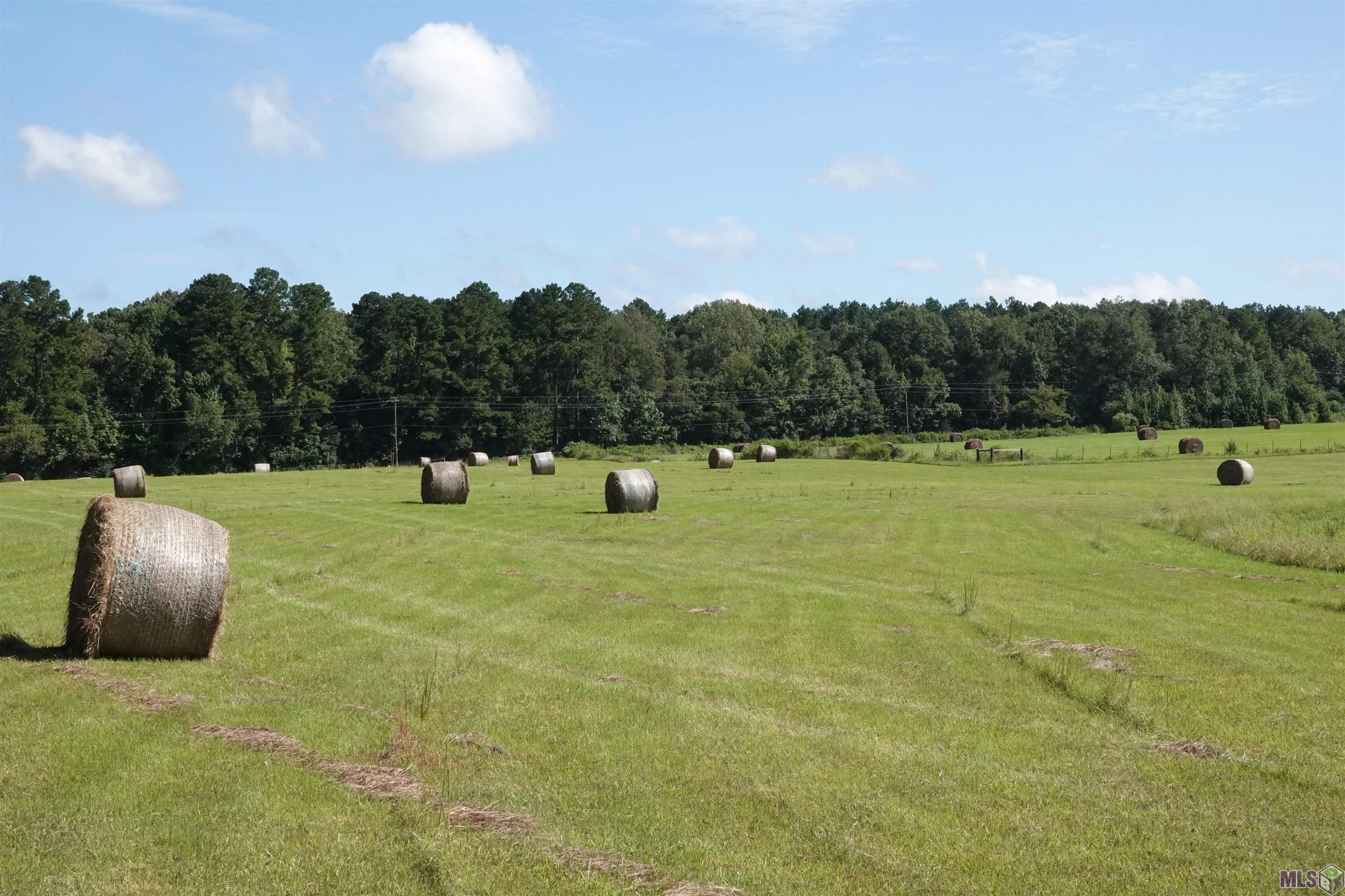 TBD Jones Vaughn Creek Rd, Saint Francisville, Louisiana image 6