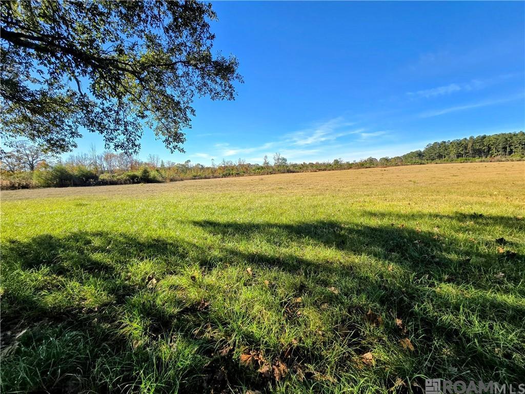 34261 N Wesley Alford Road, Mount Hermon, Louisiana image 5