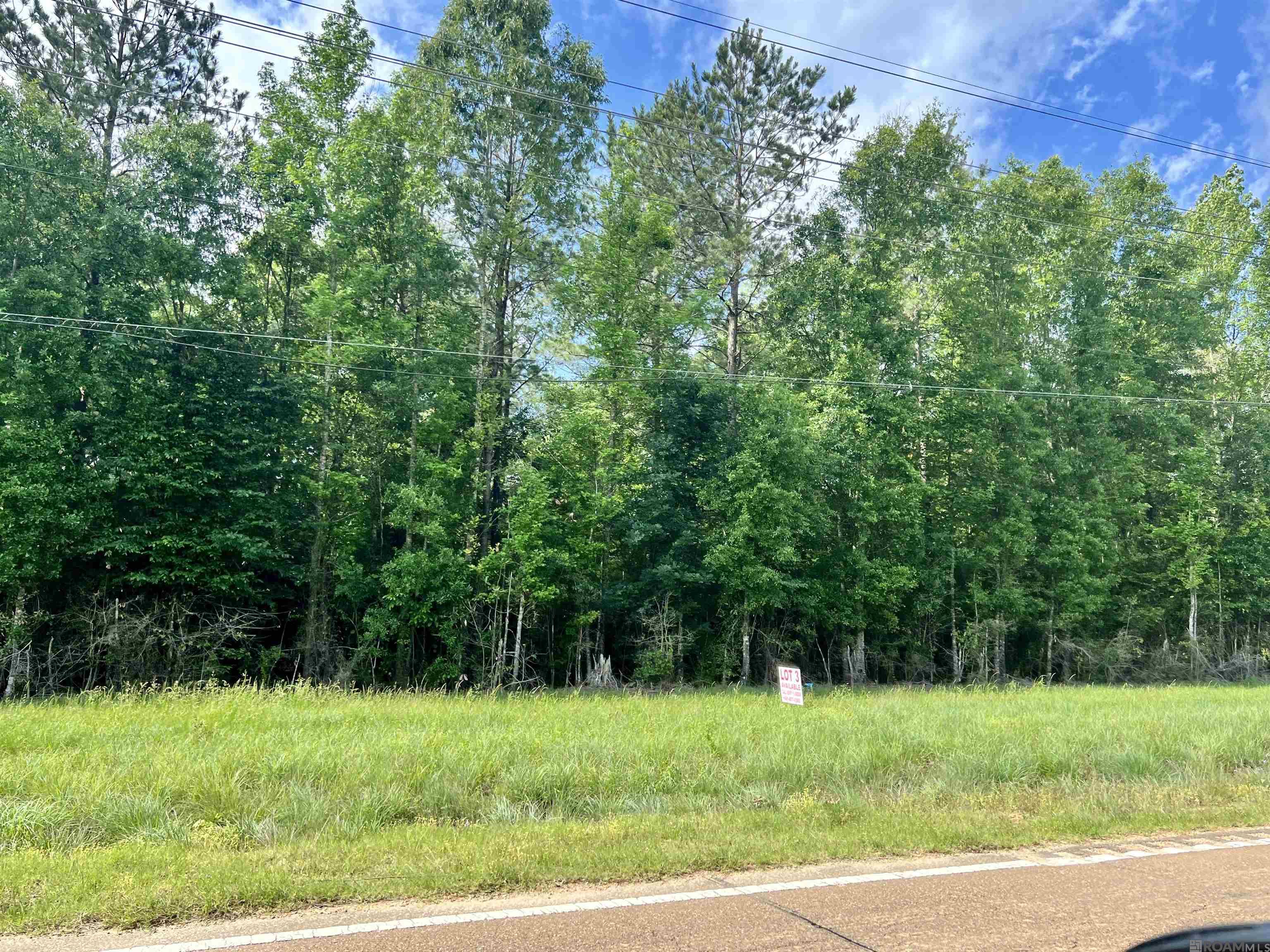 LOT 2 Hwy 24, Centreville, Mississippi image 2