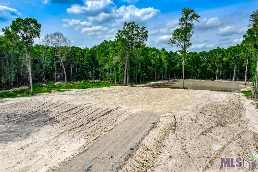 11973 Gurney Rd, Baker, Louisiana image 9