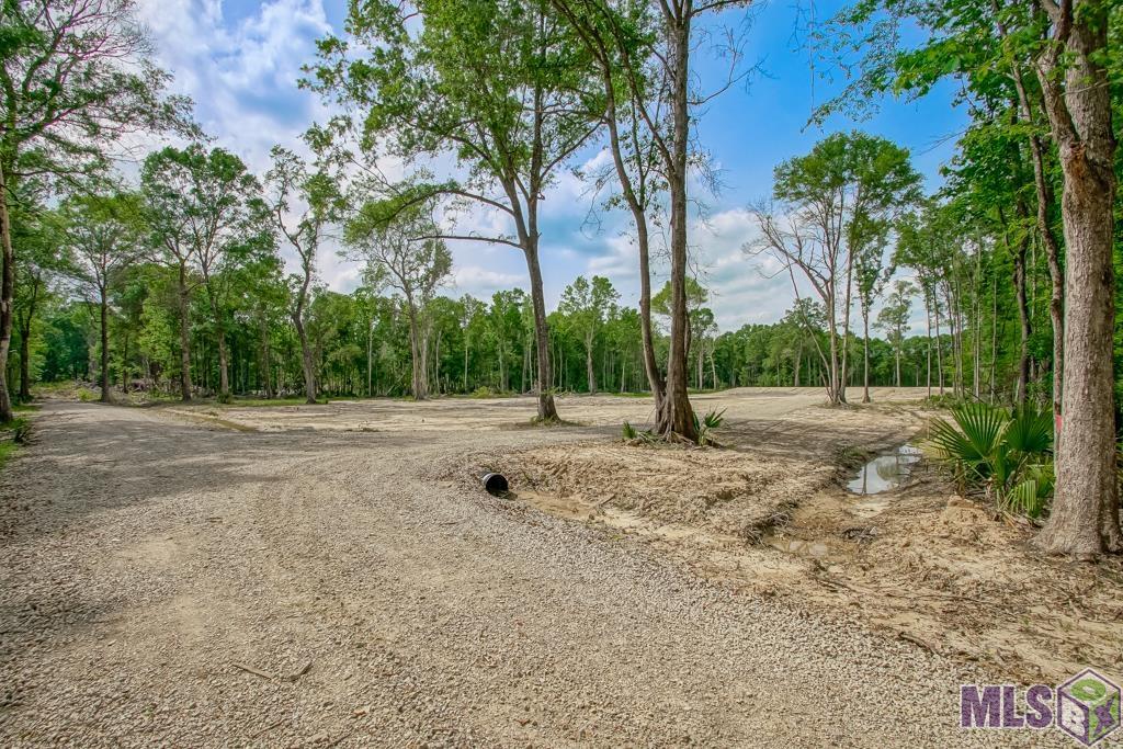 11973 Gurney Rd, Baker, Louisiana image 8