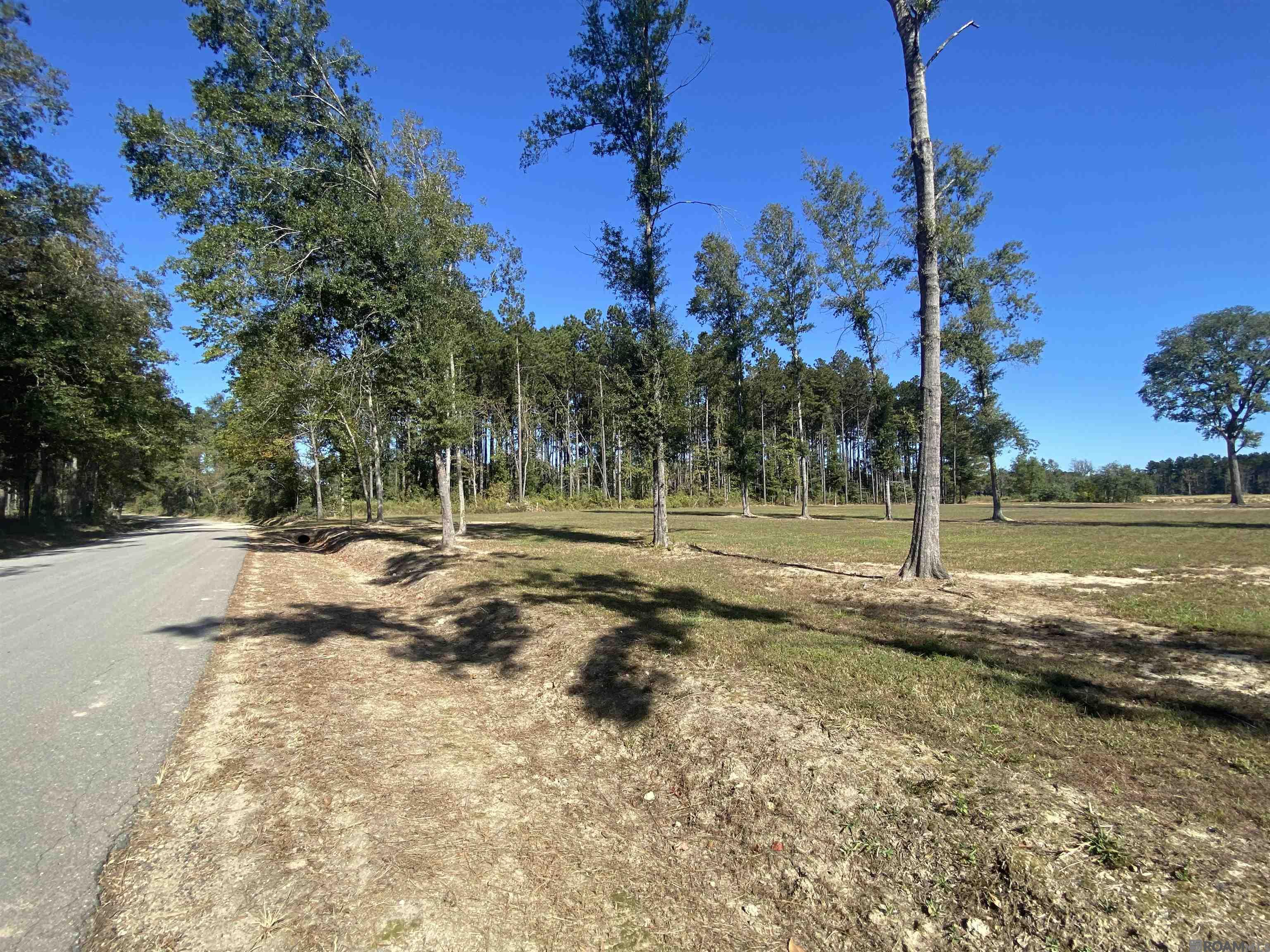 LOT 19 Nesom Rd, Denham Springs, Louisiana image 7