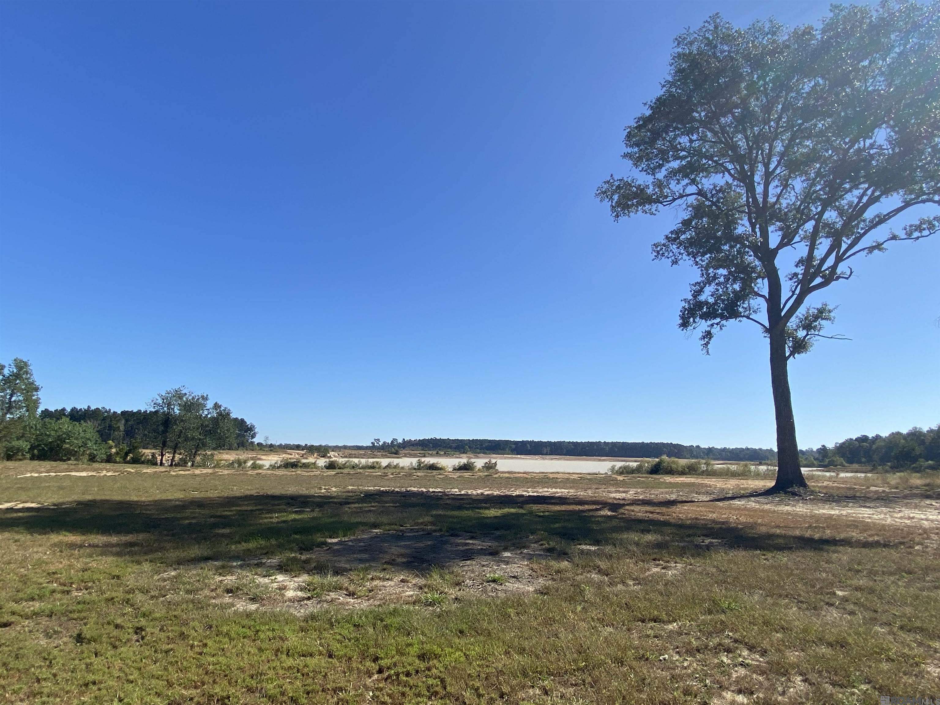 LOT 19 Nesom Rd, Denham Springs, Louisiana image 6