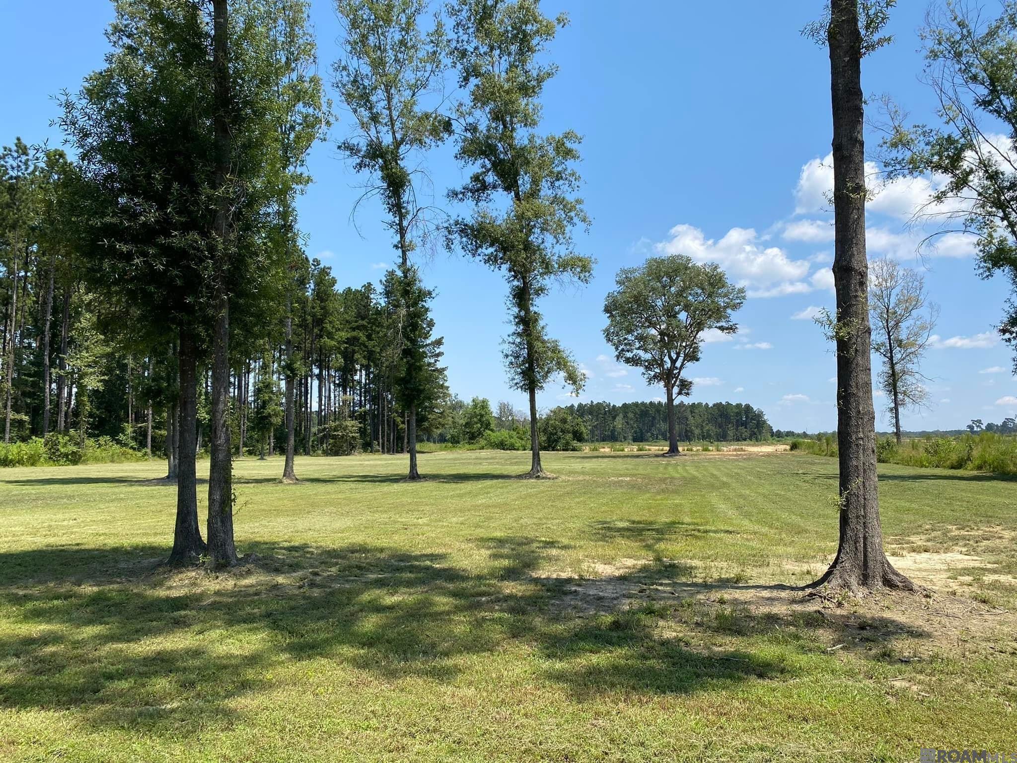 LOT 19 Nesom Rd, Denham Springs, Louisiana image 3