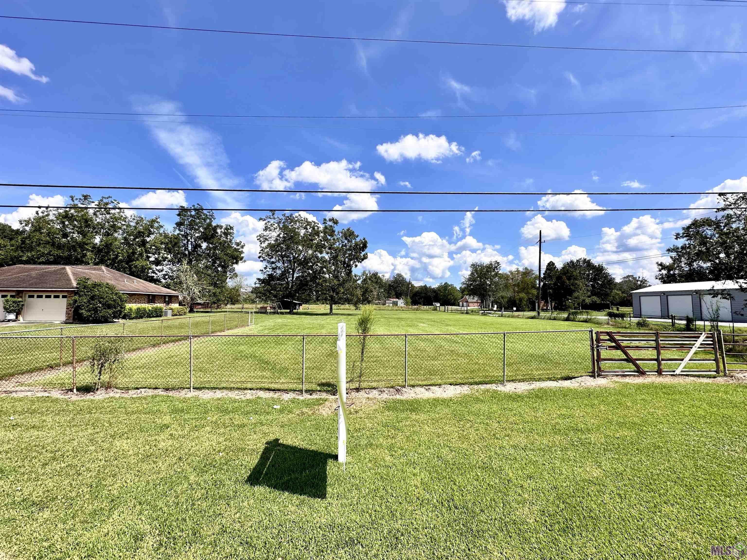 6.8 Acres La Hwy 44, Prairieville, Louisiana image 9