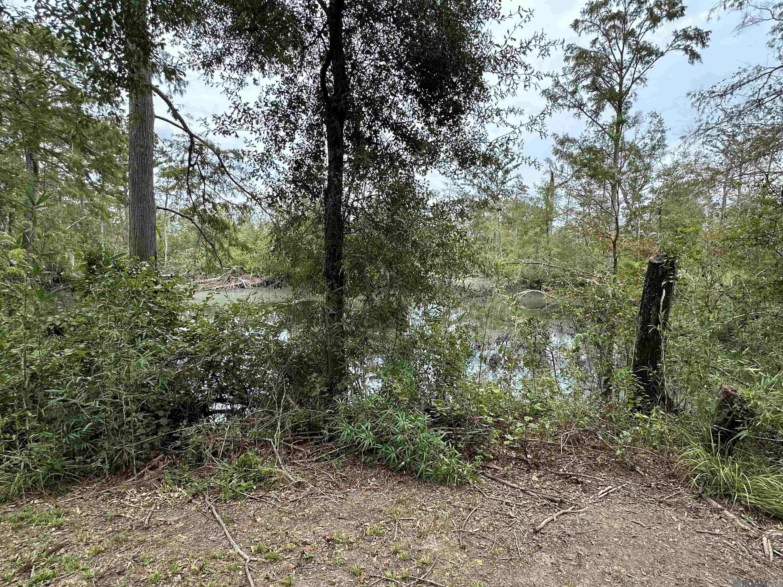 Lot 339 Penntail St, Springfield, Louisiana image 9