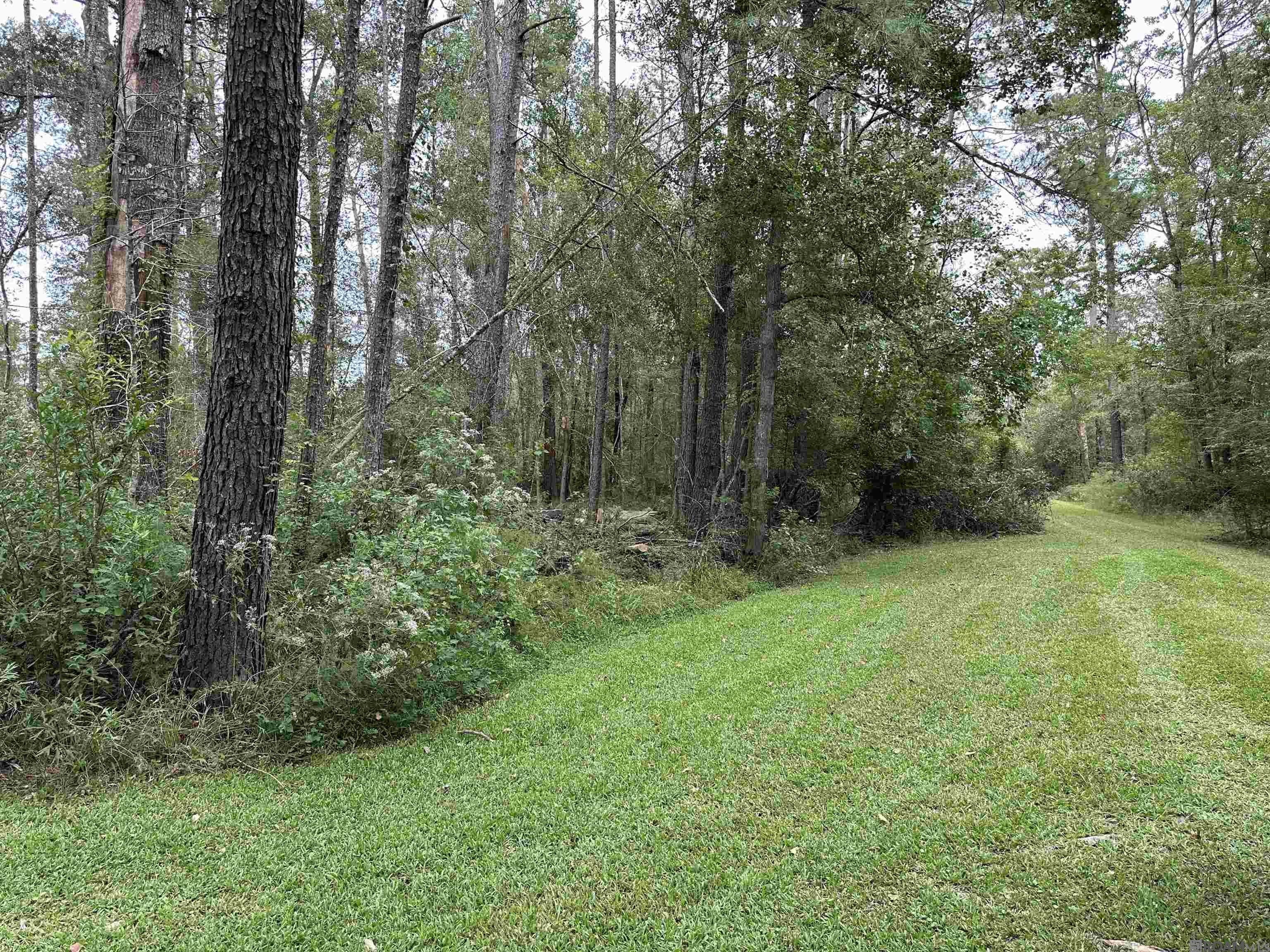 Lot 339 Penntail St, Springfield, Louisiana image 3