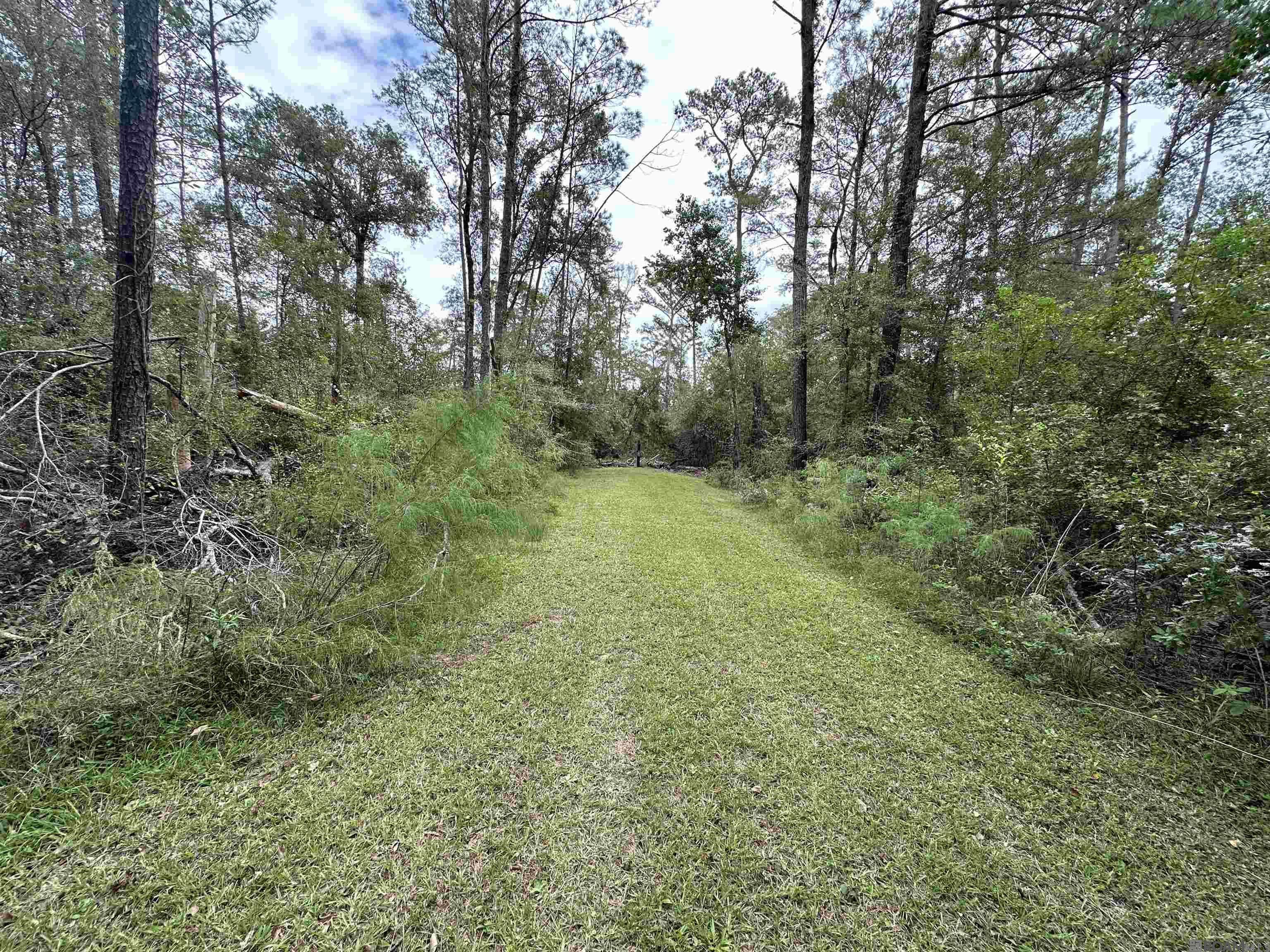 Lot 339 Penntail St, Springfield, Louisiana image 5