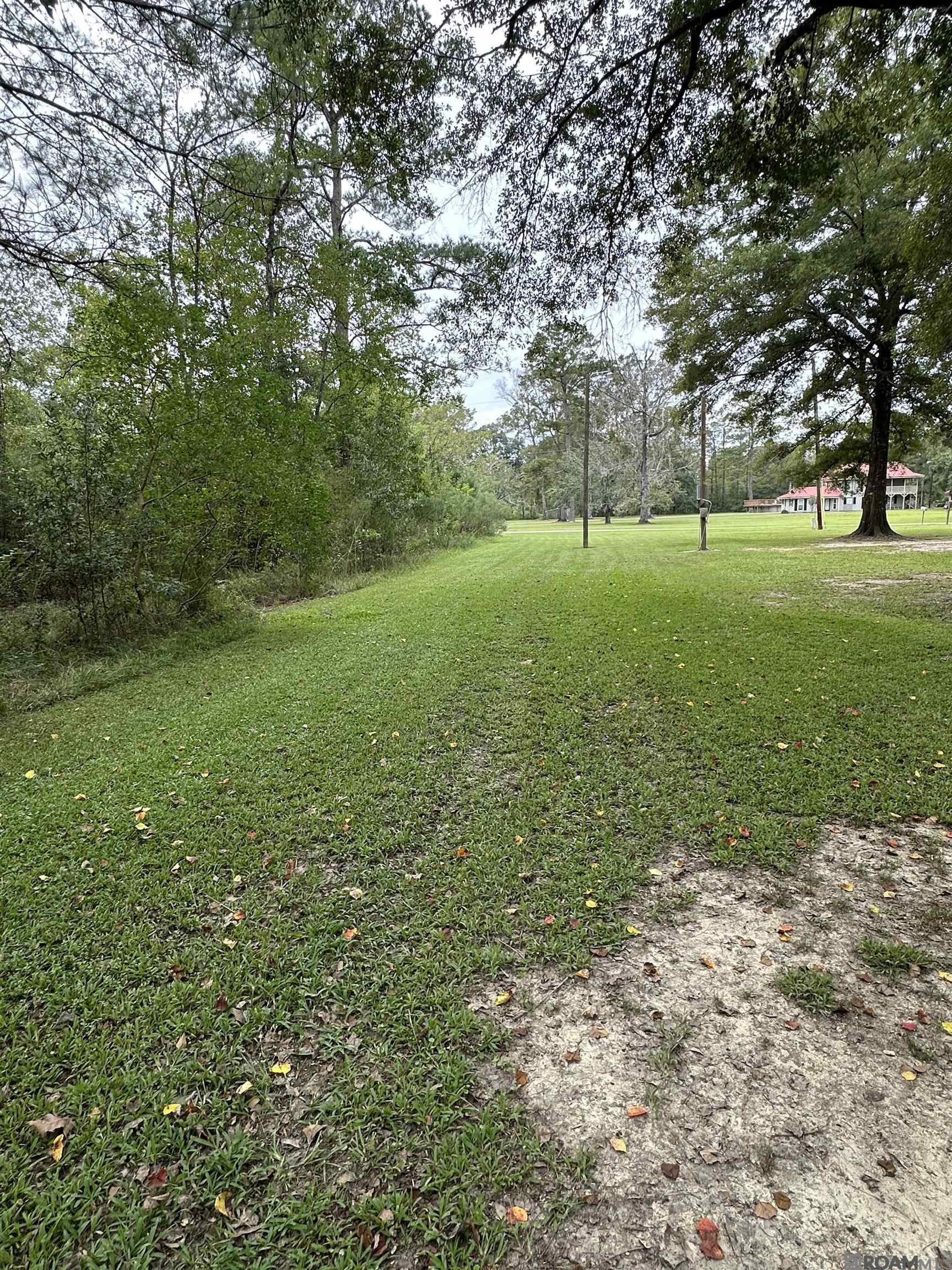 Lot 339 Penntail St, Springfield, Louisiana image 8