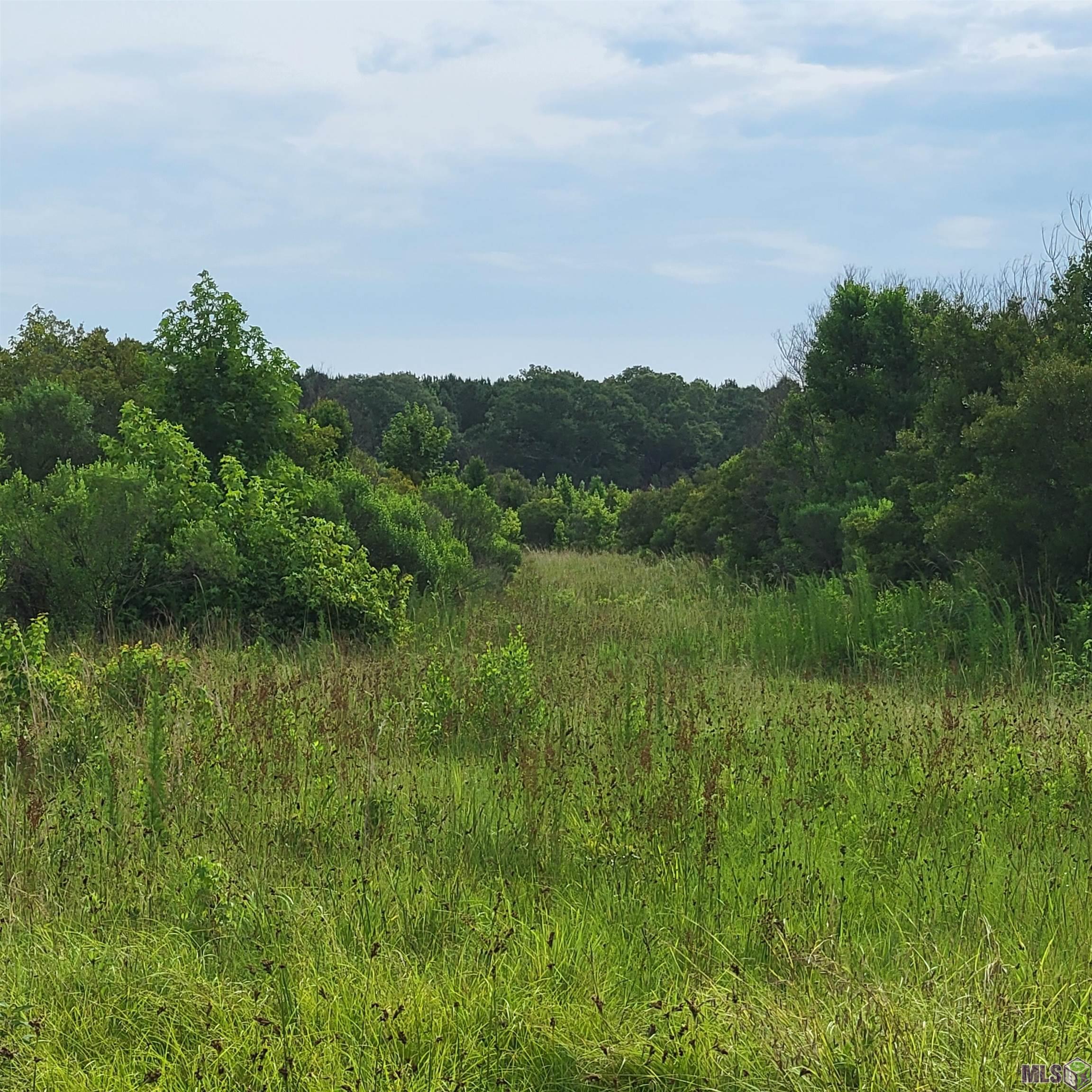 TBD Hadden Ln, Ethel, Louisiana image 14