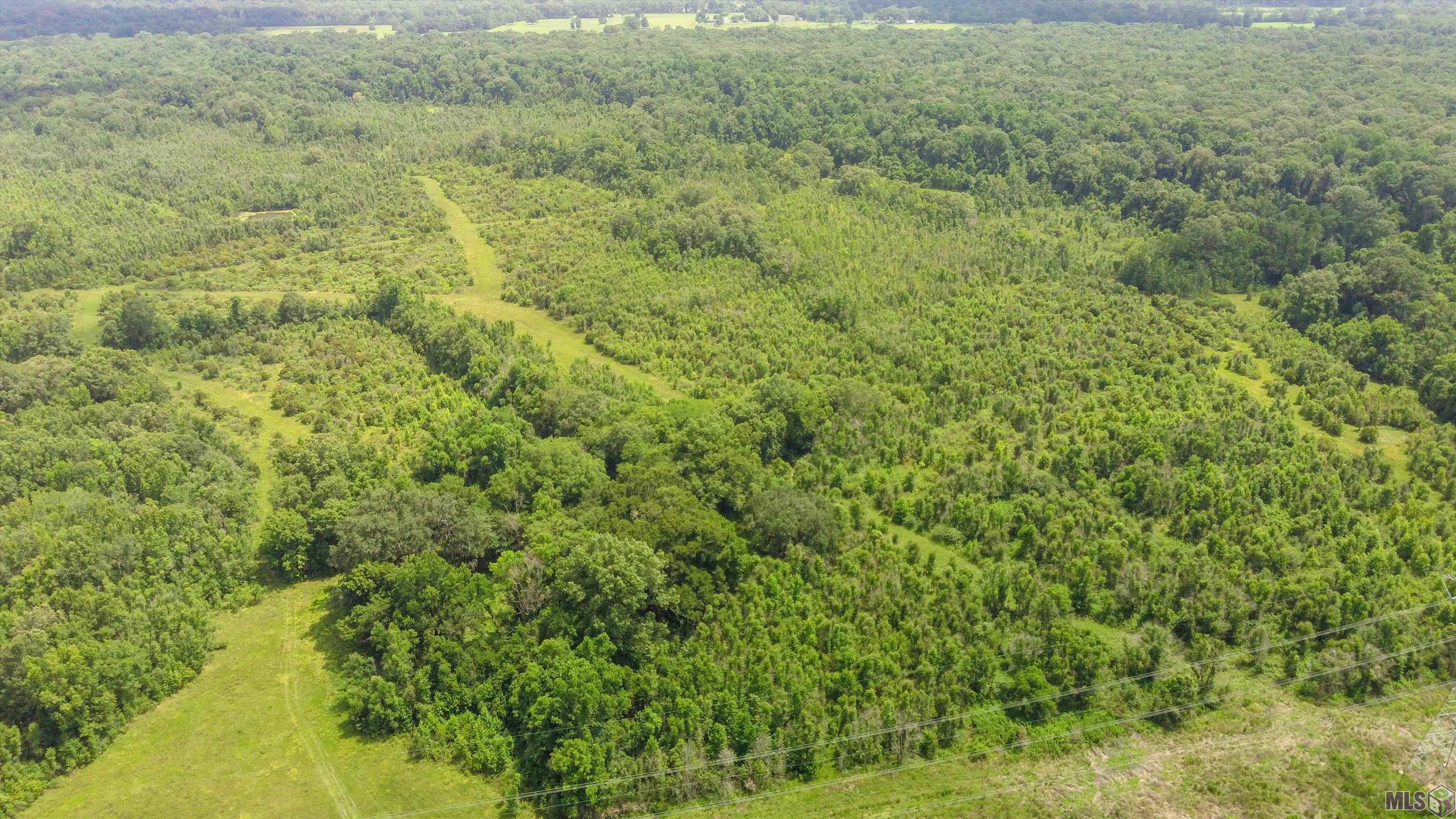 TBD Hadden Ln, Ethel, Louisiana image 26