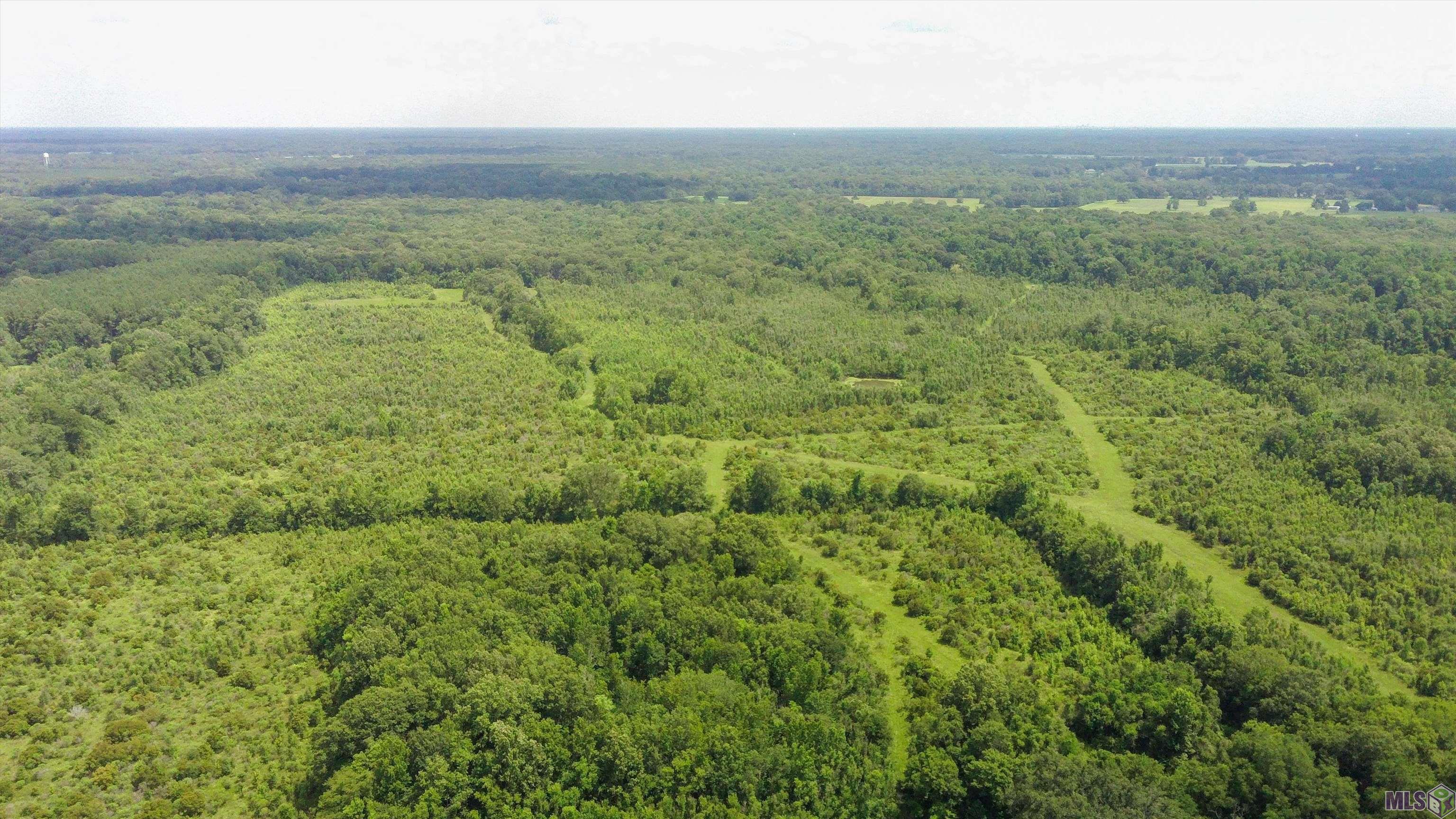 TBD Hadden Ln, Ethel, Louisiana image 27