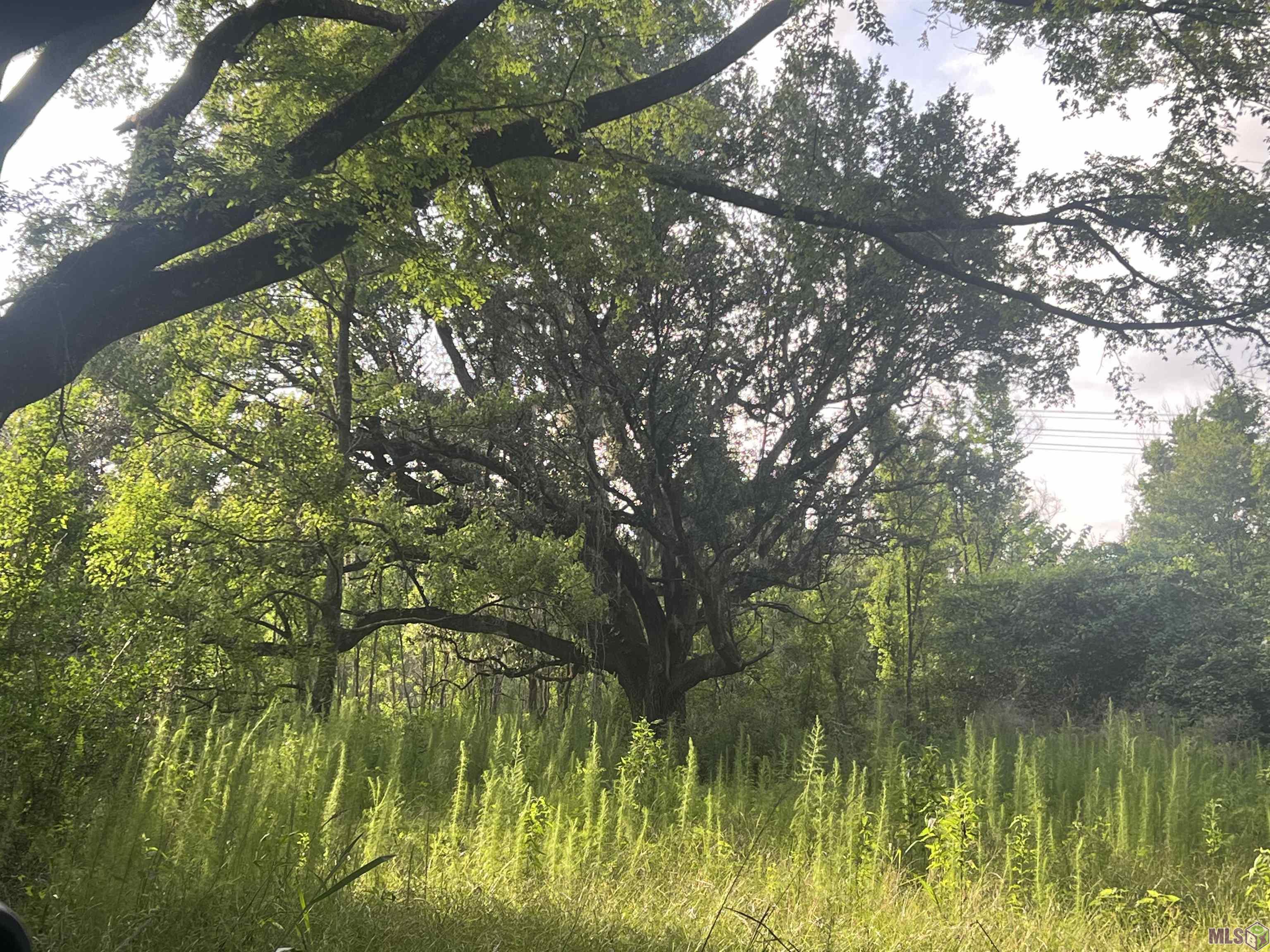 TBD Hadden Ln, Ethel, Louisiana image 3