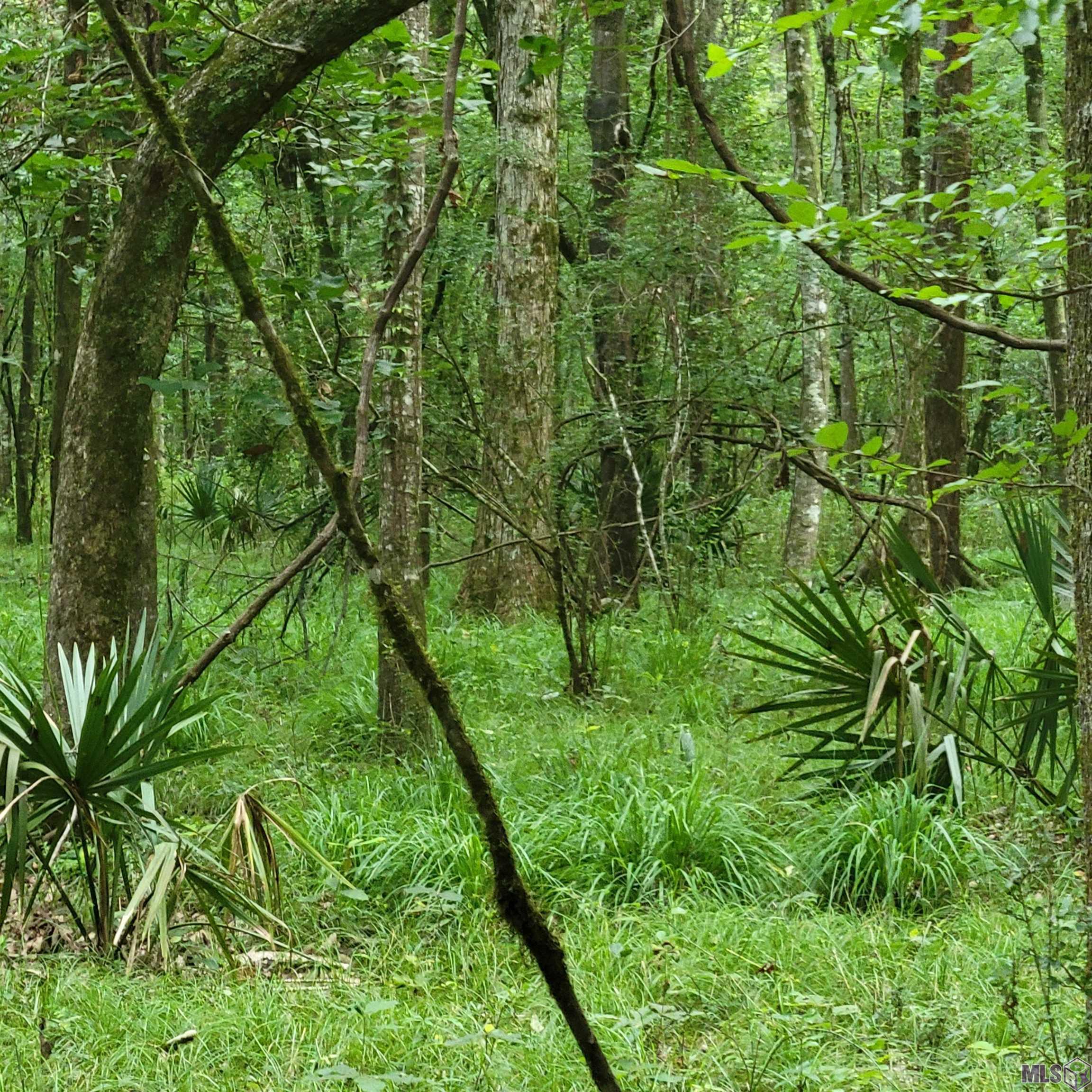 TBD Hadden Ln, Ethel, Louisiana image 18