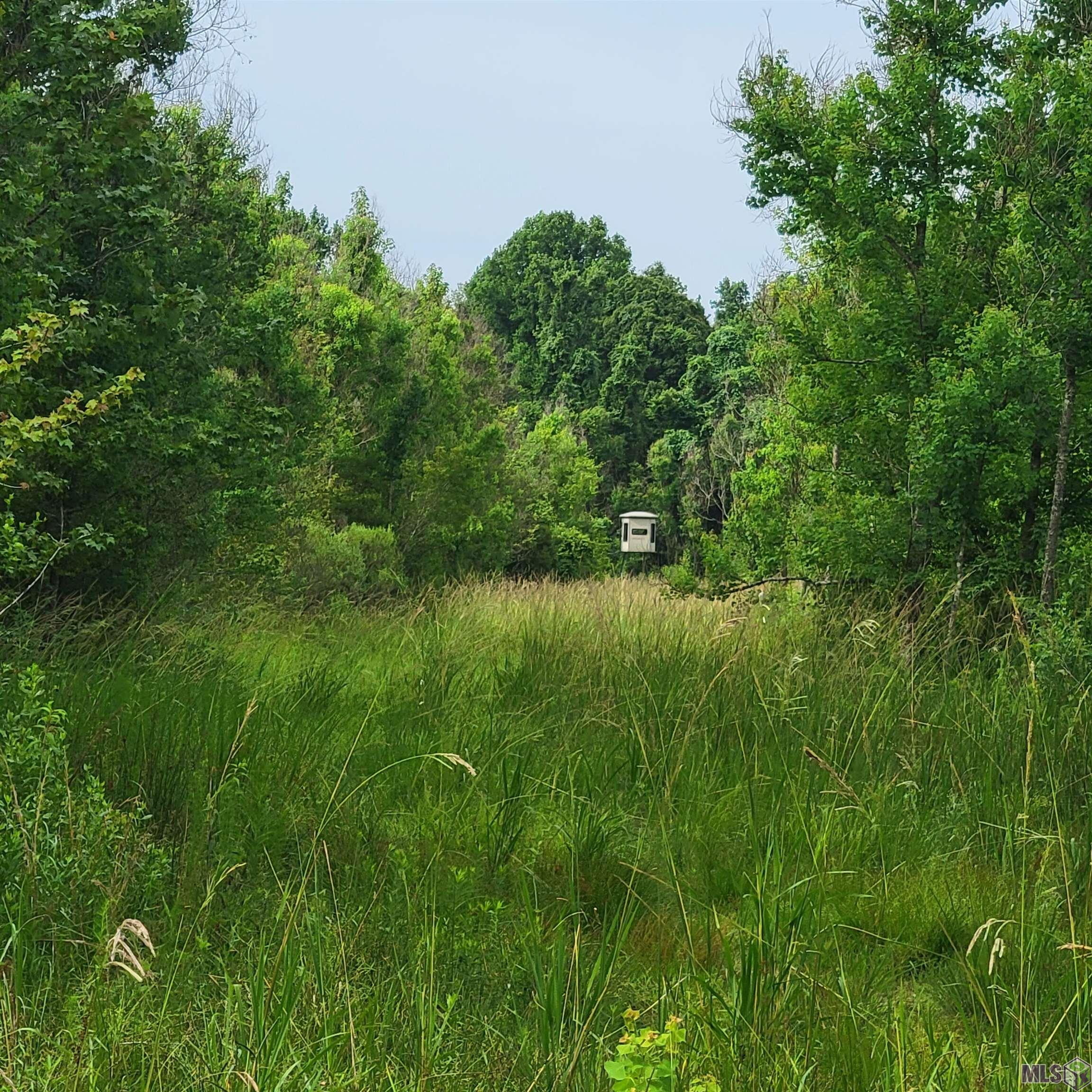 TBD Hadden Ln, Ethel, Louisiana image 15