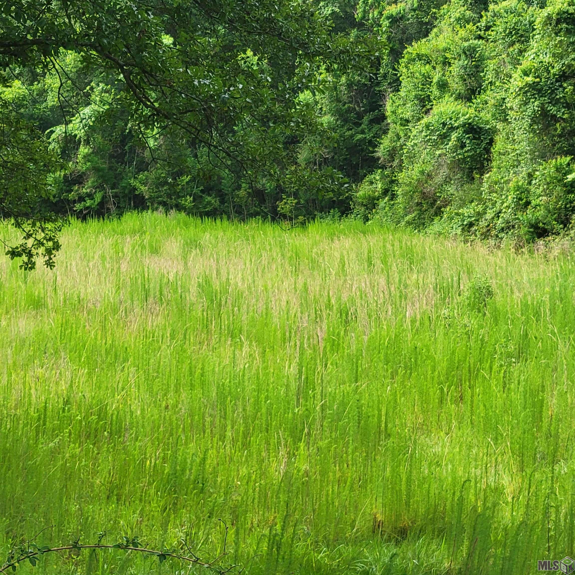 TBD Hadden Ln, Ethel, Louisiana image 13