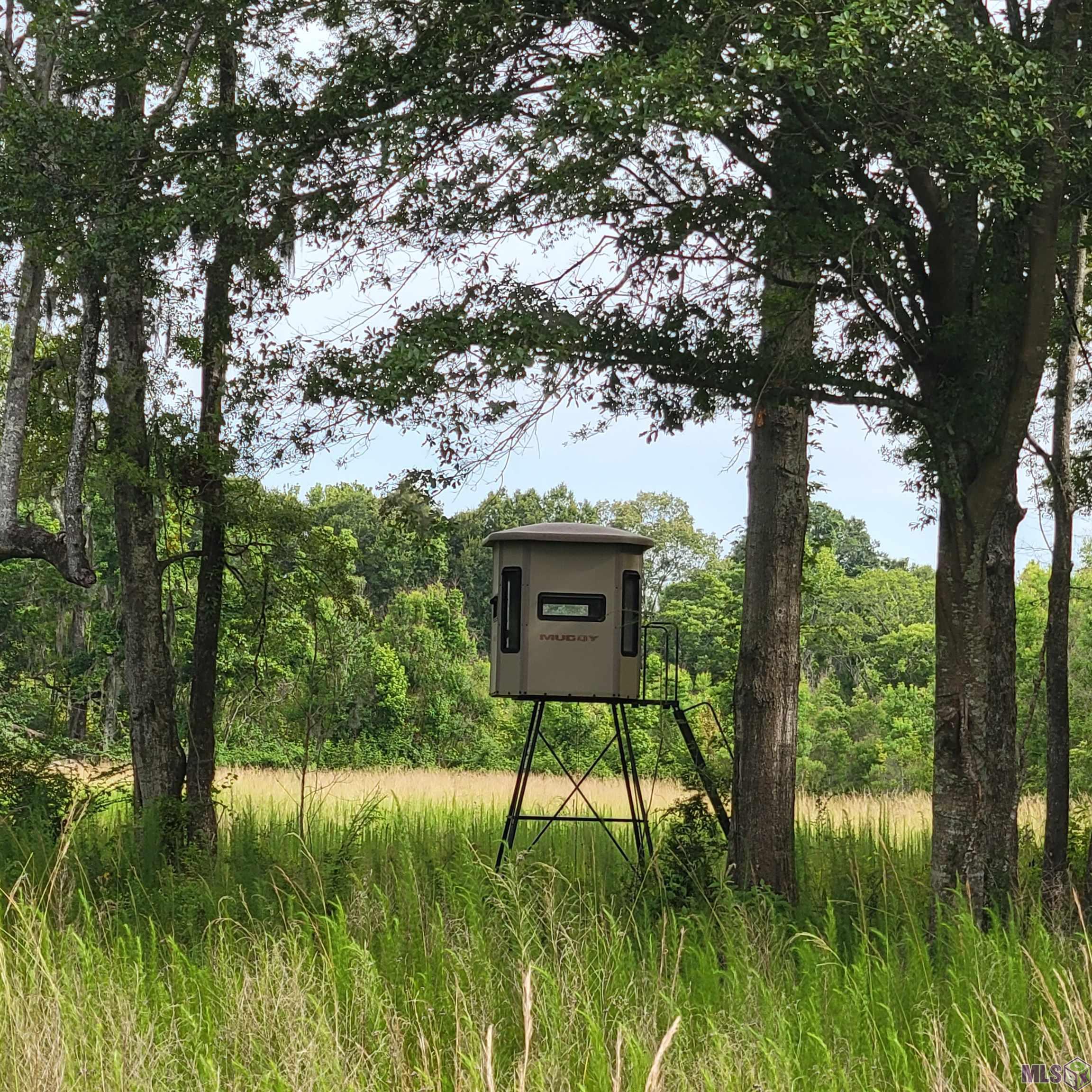 TBD Hadden Ln, Ethel, Louisiana image 19