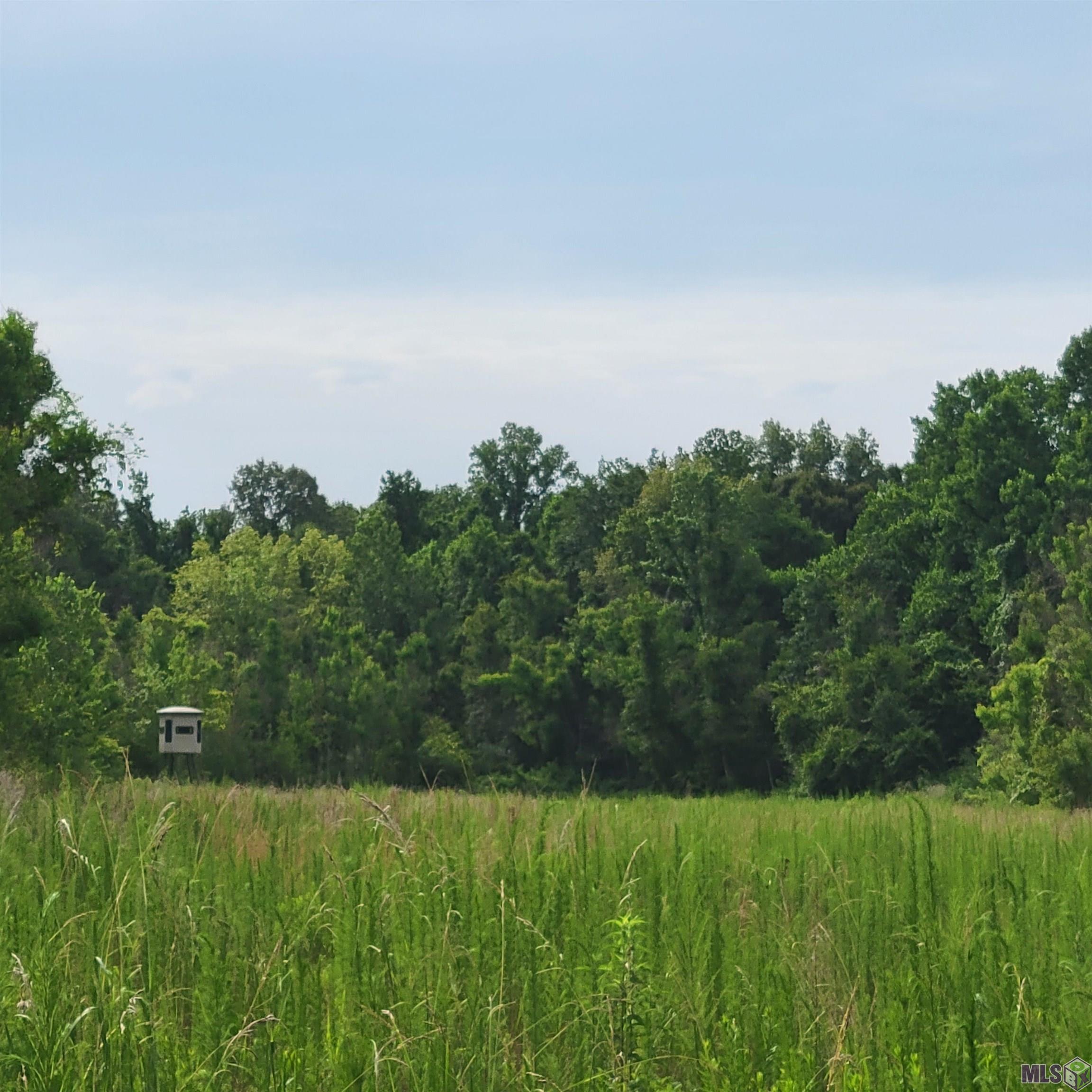 TBD Hadden Ln, Ethel, Louisiana image 1