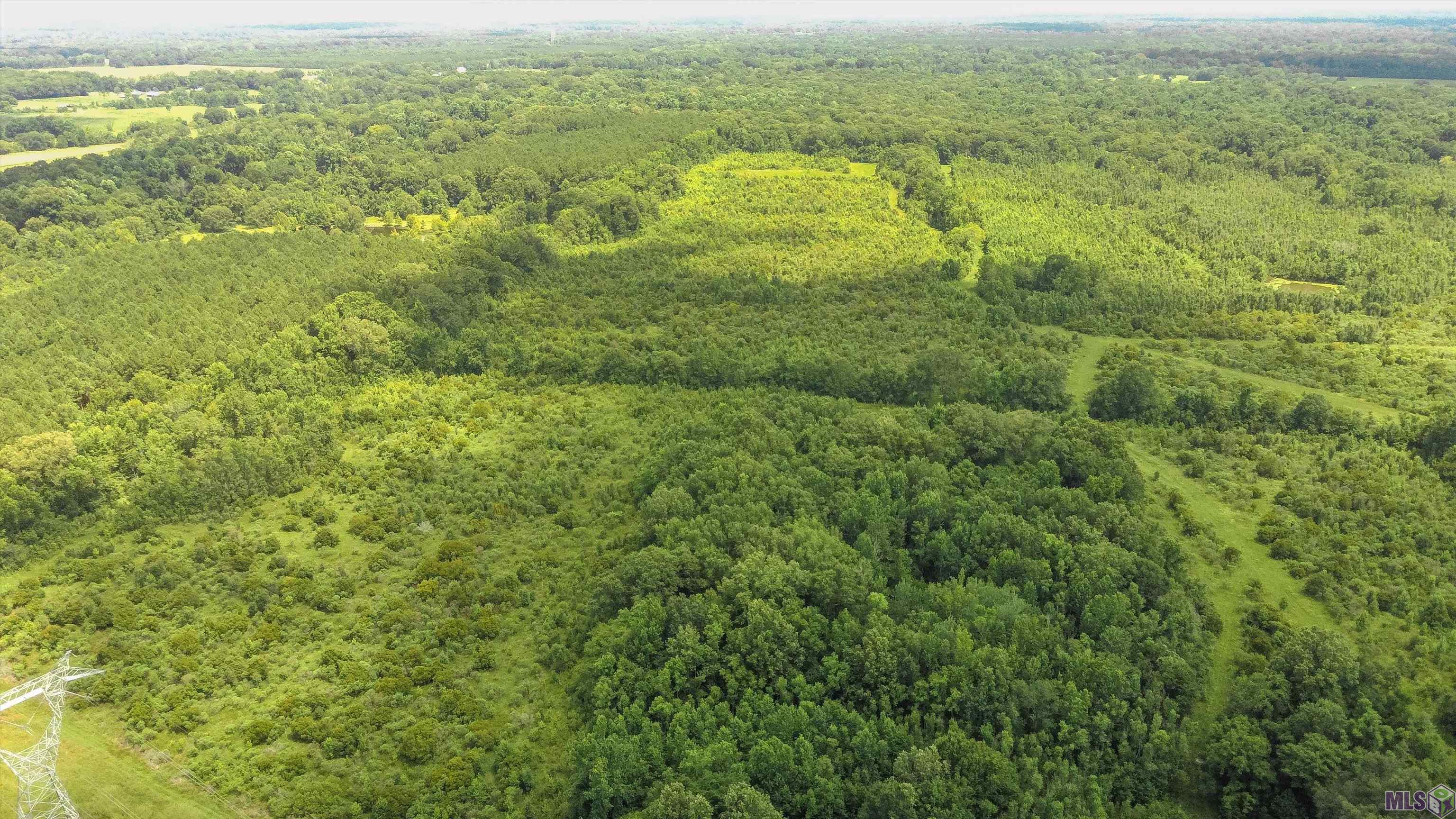 TBD Hadden Ln, Ethel, Louisiana image 23