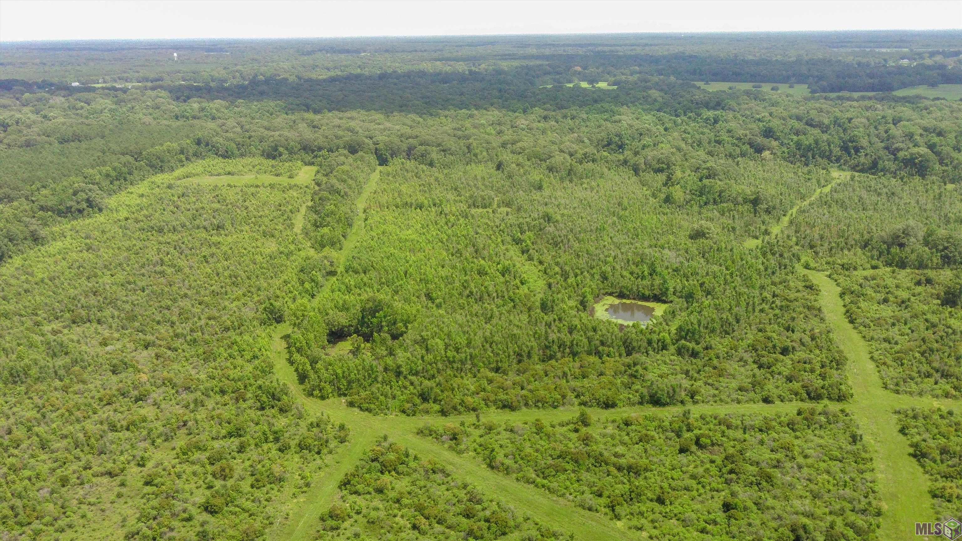 TBD Hadden Ln, Ethel, Louisiana image 24