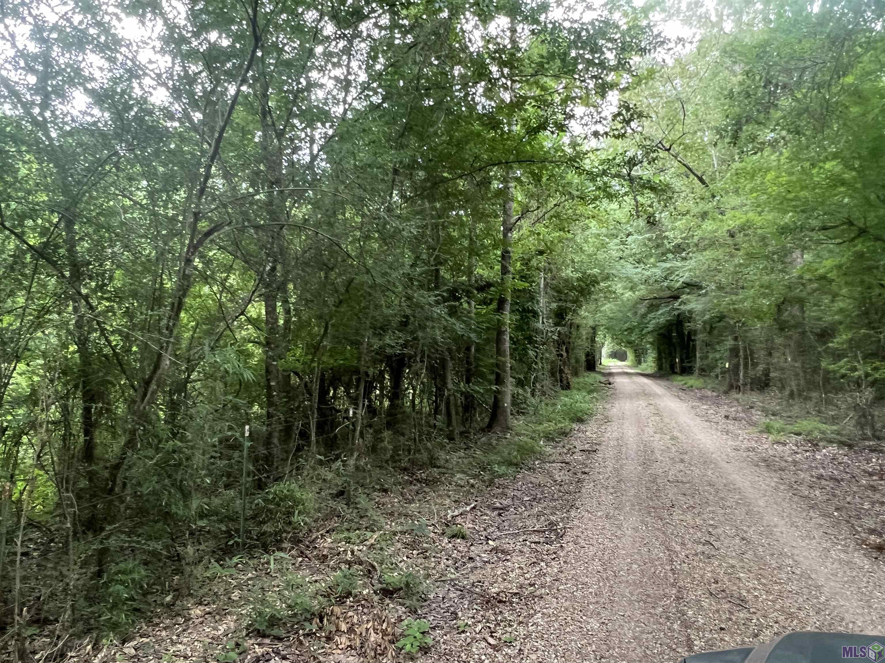 TBD Hadden Ln, Ethel, Louisiana image 9