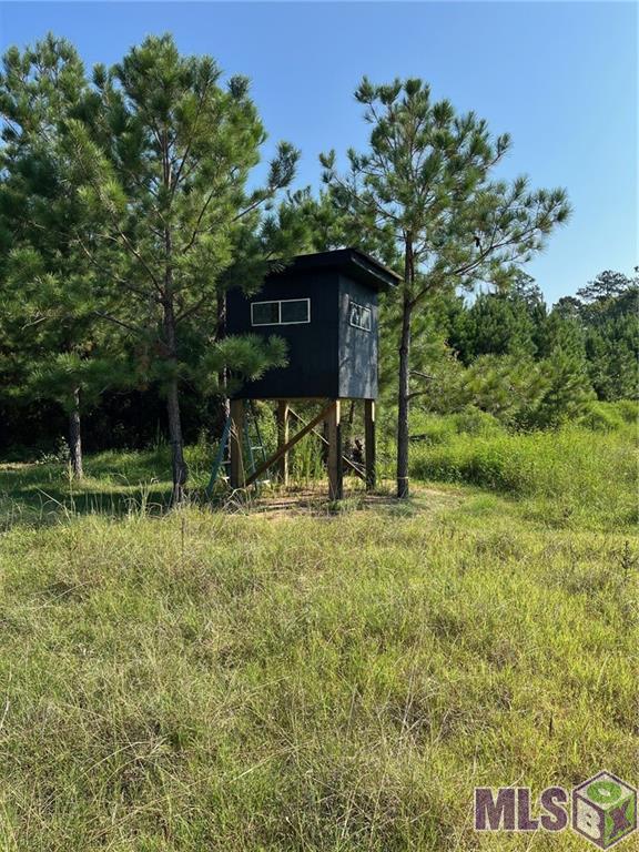 4305 N 507 Highway, Coushatta, Louisiana image 9