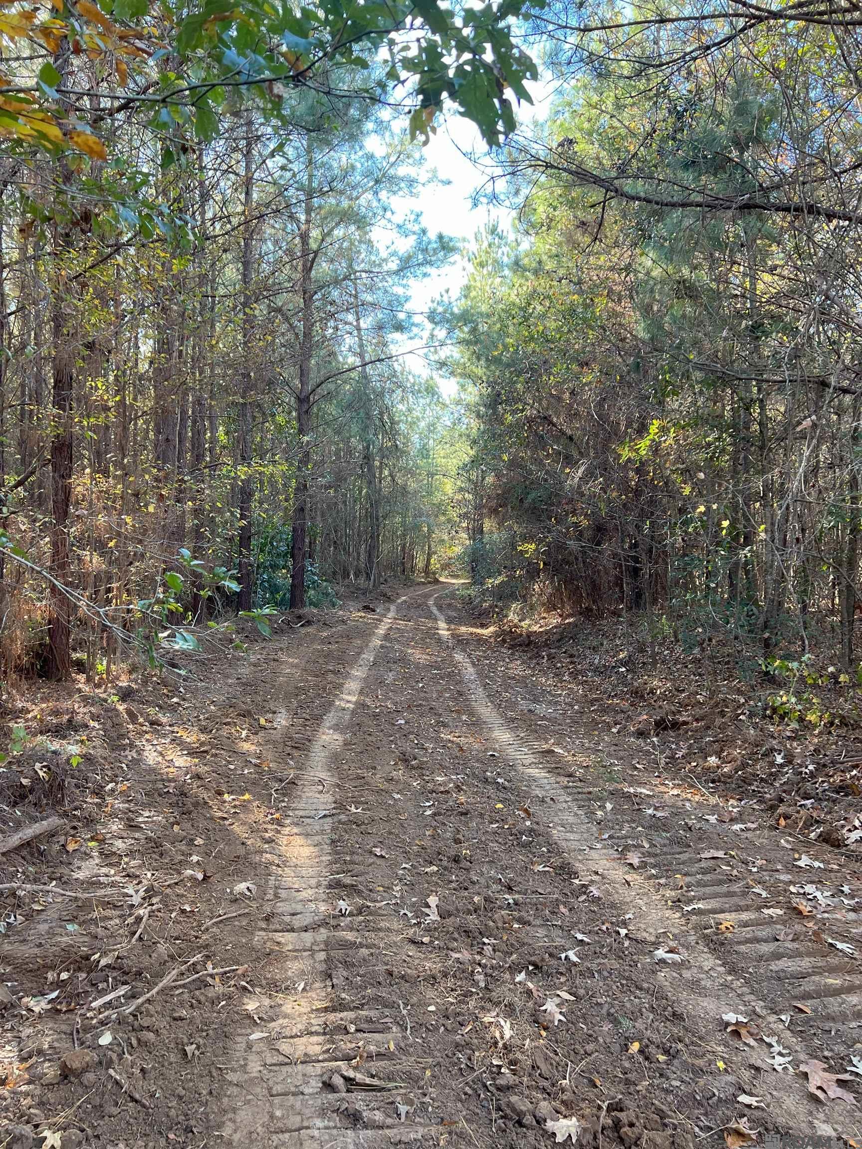 TBD Tunica Trace, Saint Francisville, Louisiana image 9