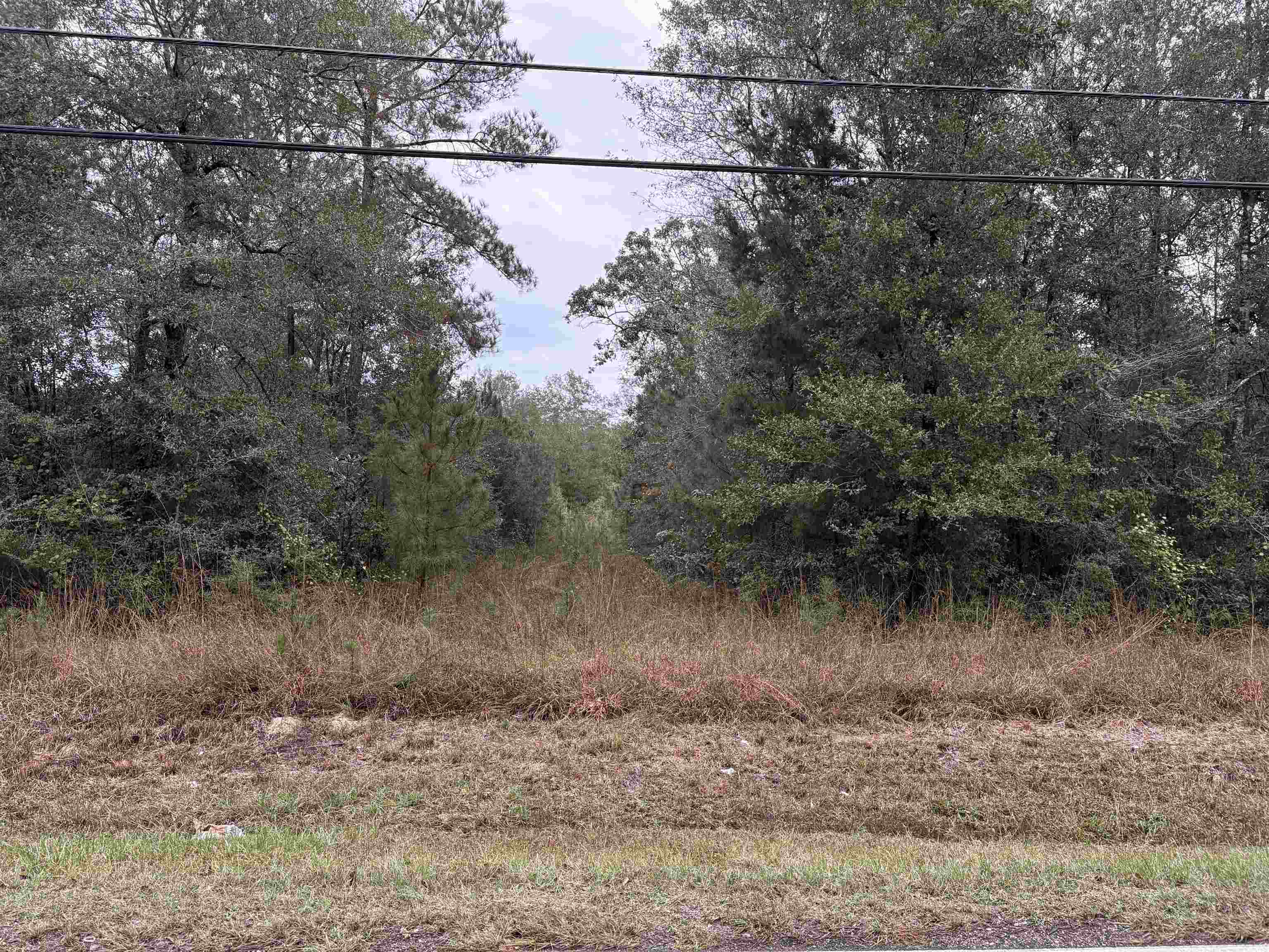 Tract B-1 Rufus Bankston Rd, Hammond, Louisiana image 2