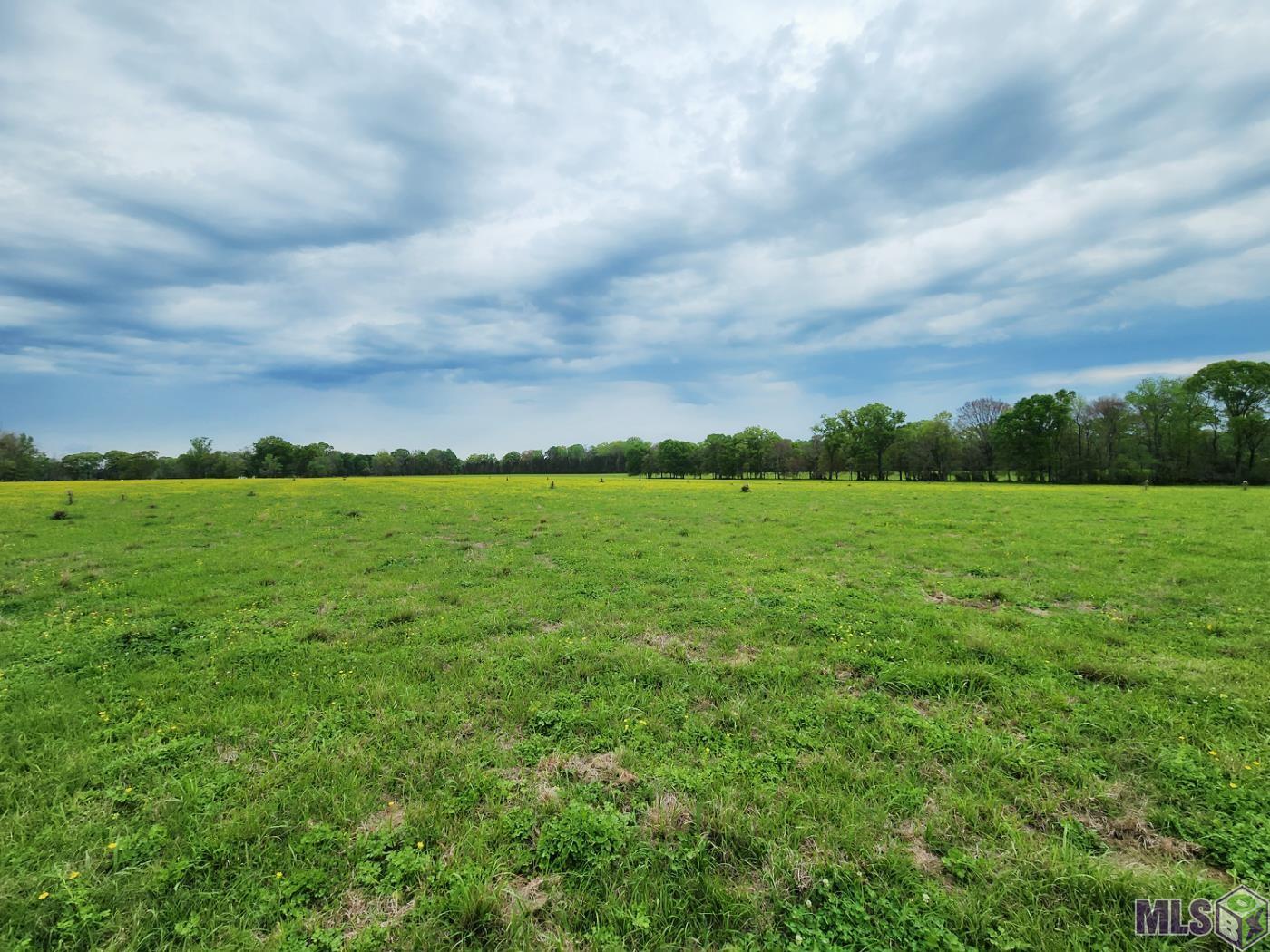 TBD Blatt Ln, Ethel, Louisiana image 5