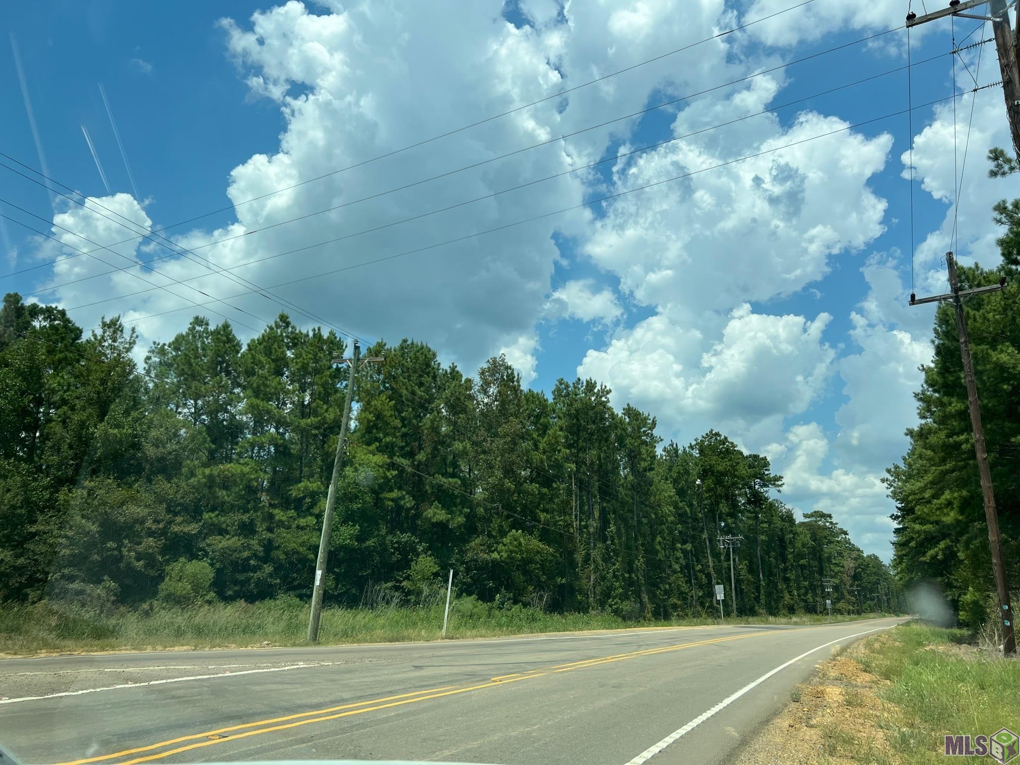 Tract B & C La Hwy 442, Holden, Louisiana image 6