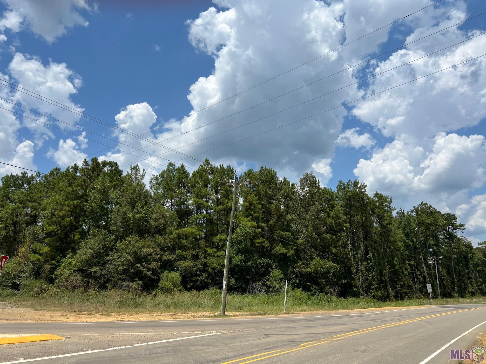 Tract B & C La Hwy 442, Holden, Louisiana image 4