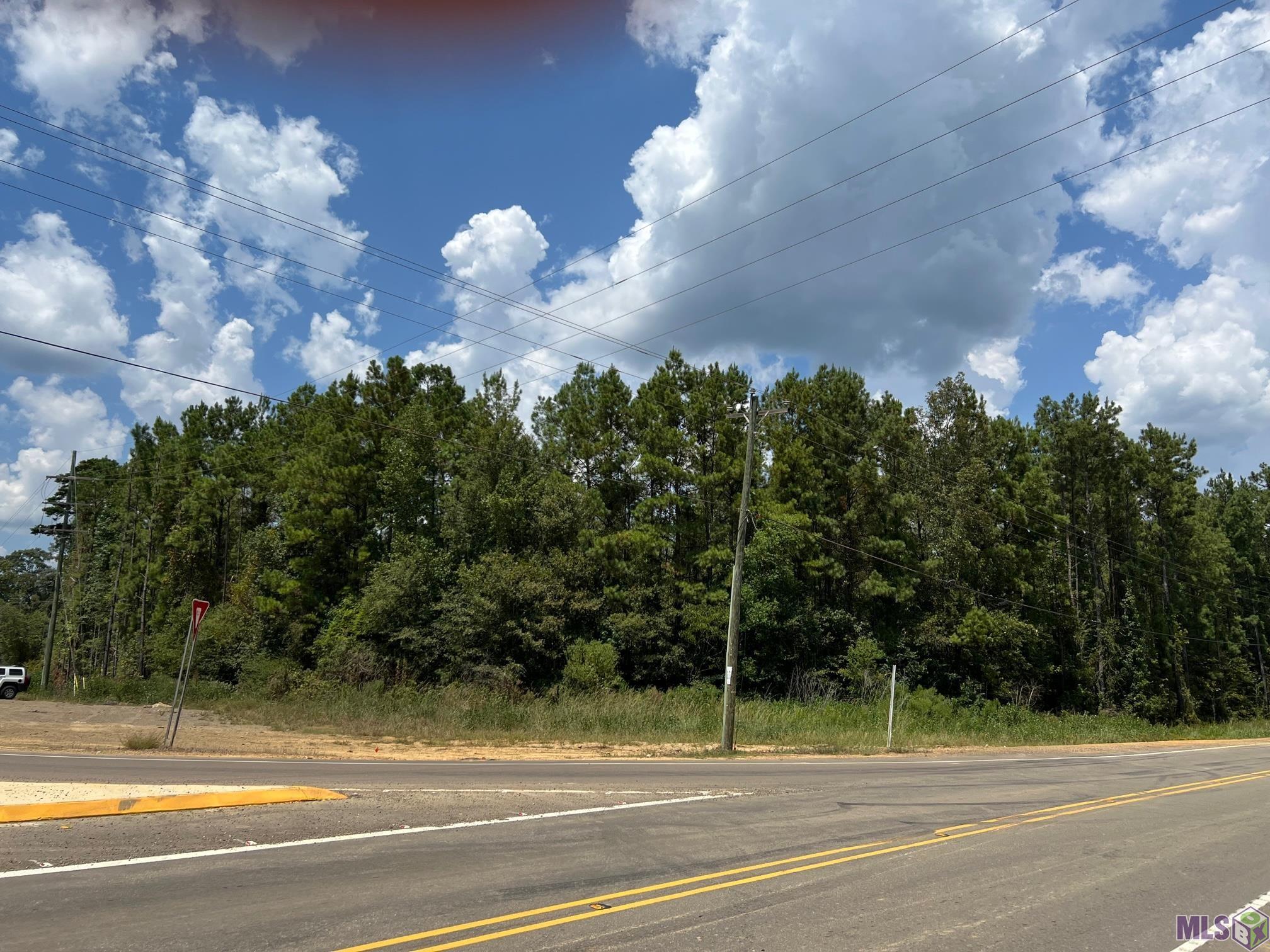 Tract B & C La Hwy 442, Holden, Louisiana image 2