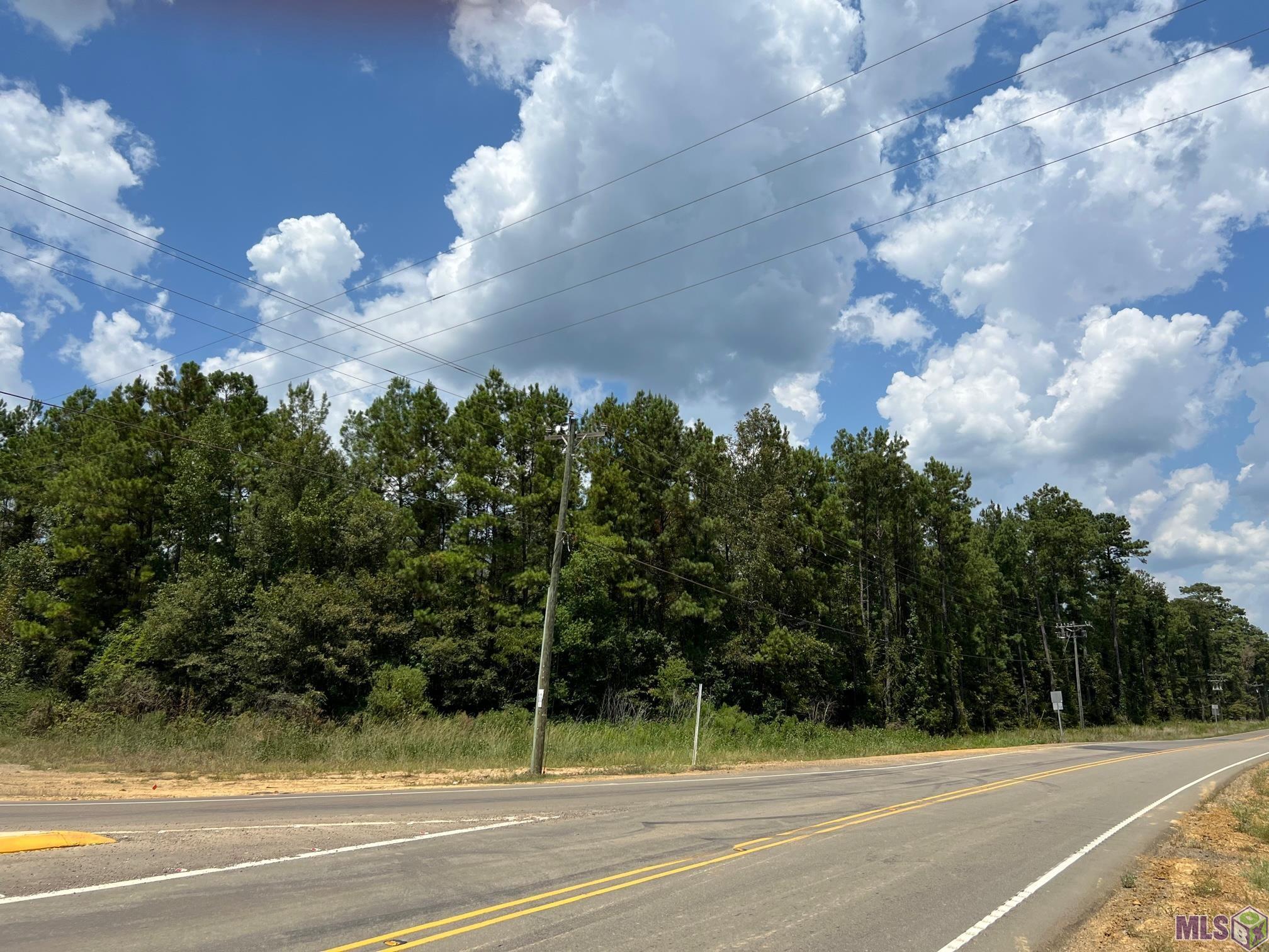 Tract B & C La Hwy 442, Holden, Louisiana image 3