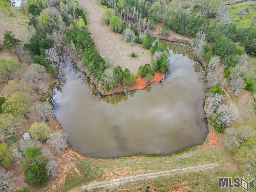 36453 Hwy 1055 Highway, Mount Hermon, Louisiana image 37