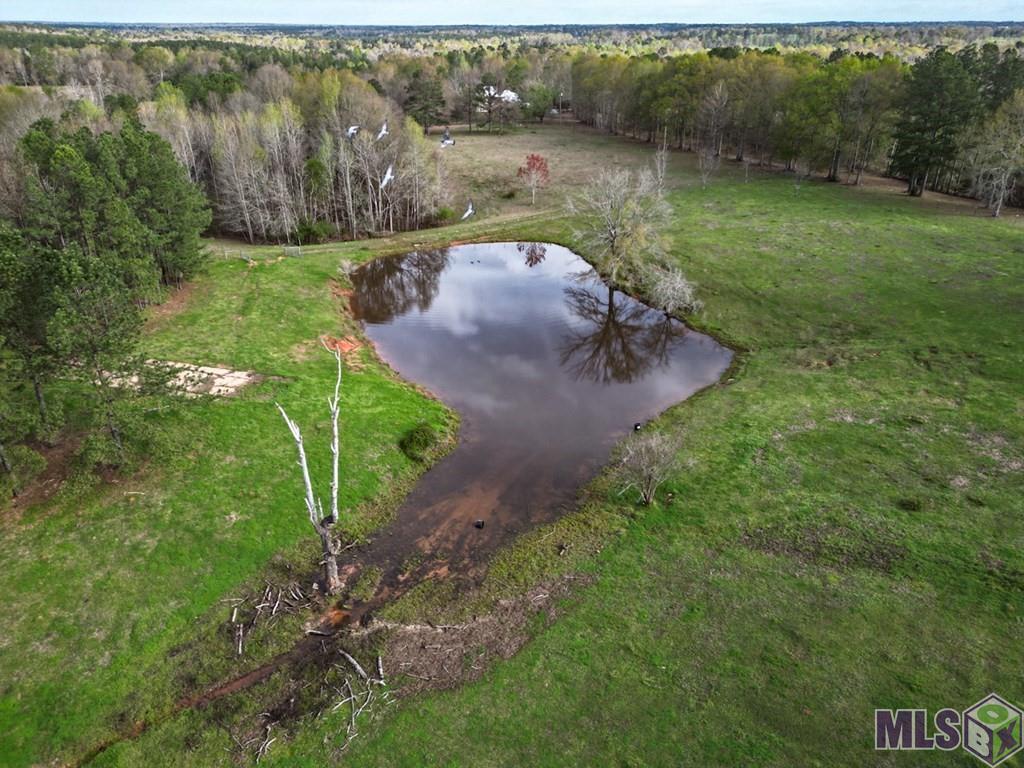 36453 Hwy 1055 Highway, Mount Hermon, Louisiana image 36