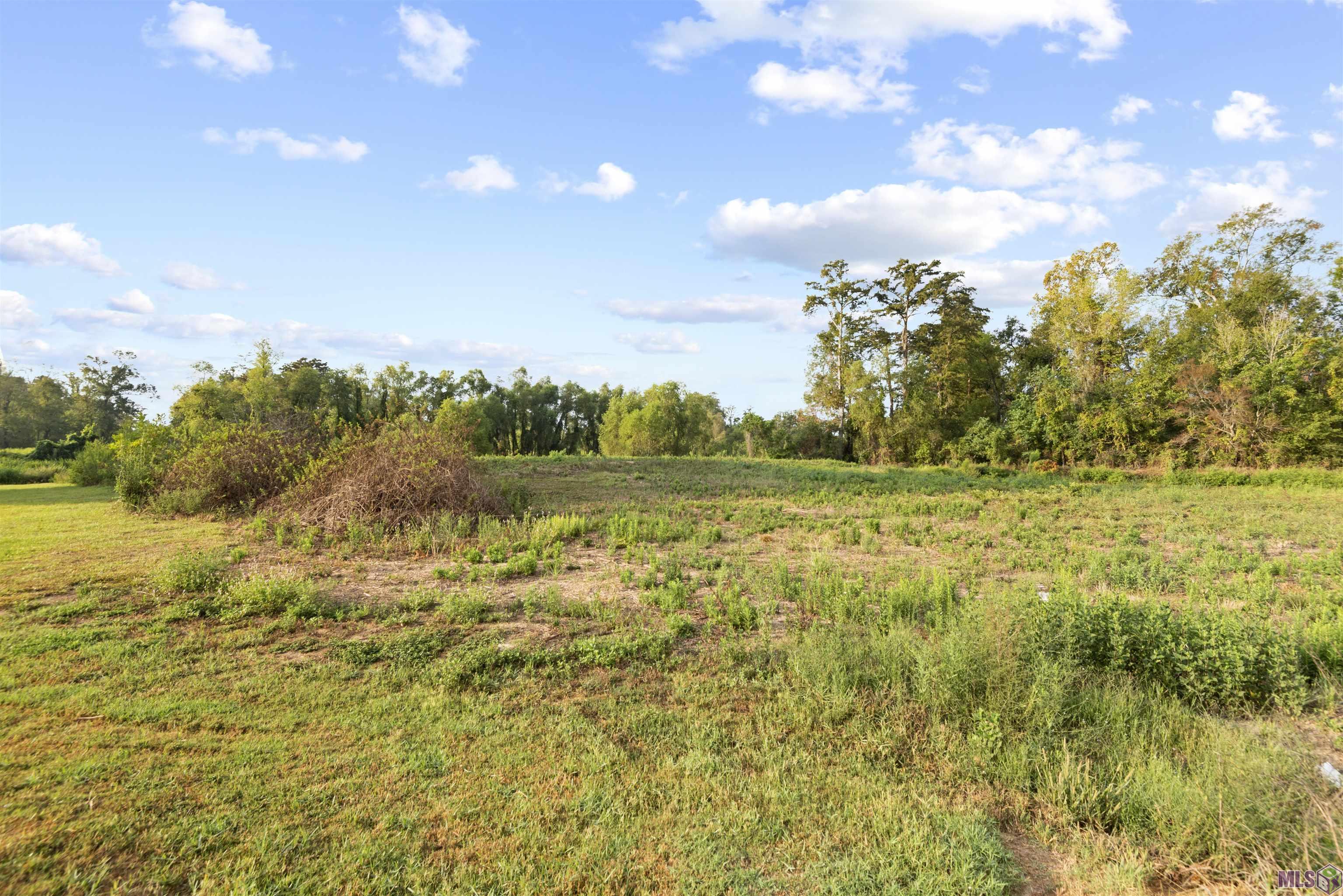 TBD Lot 20-A Amite Acres, Prairieville, Louisiana image 1