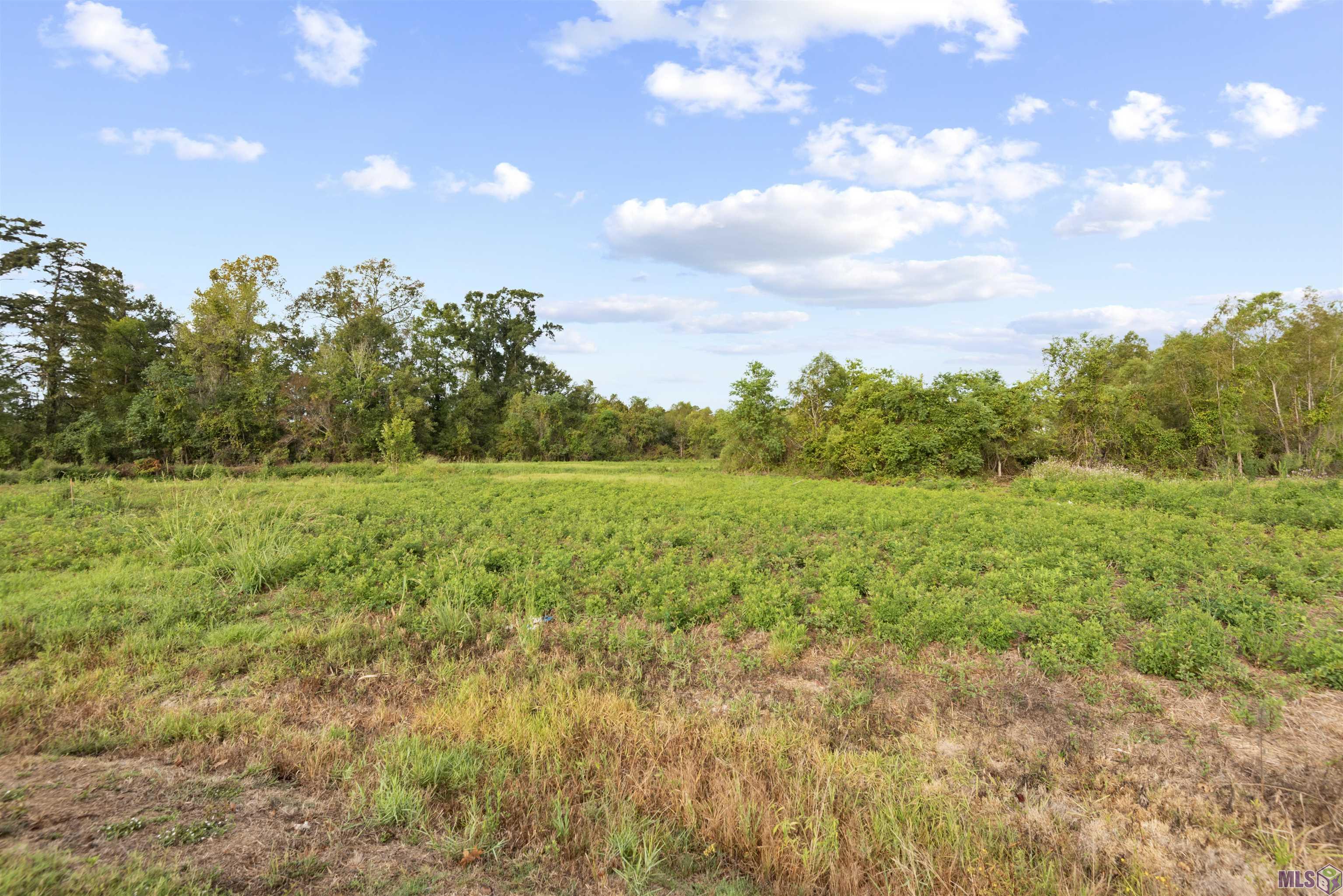 TBD Lot 20-A Amite Acres, Prairieville, Louisiana image 5