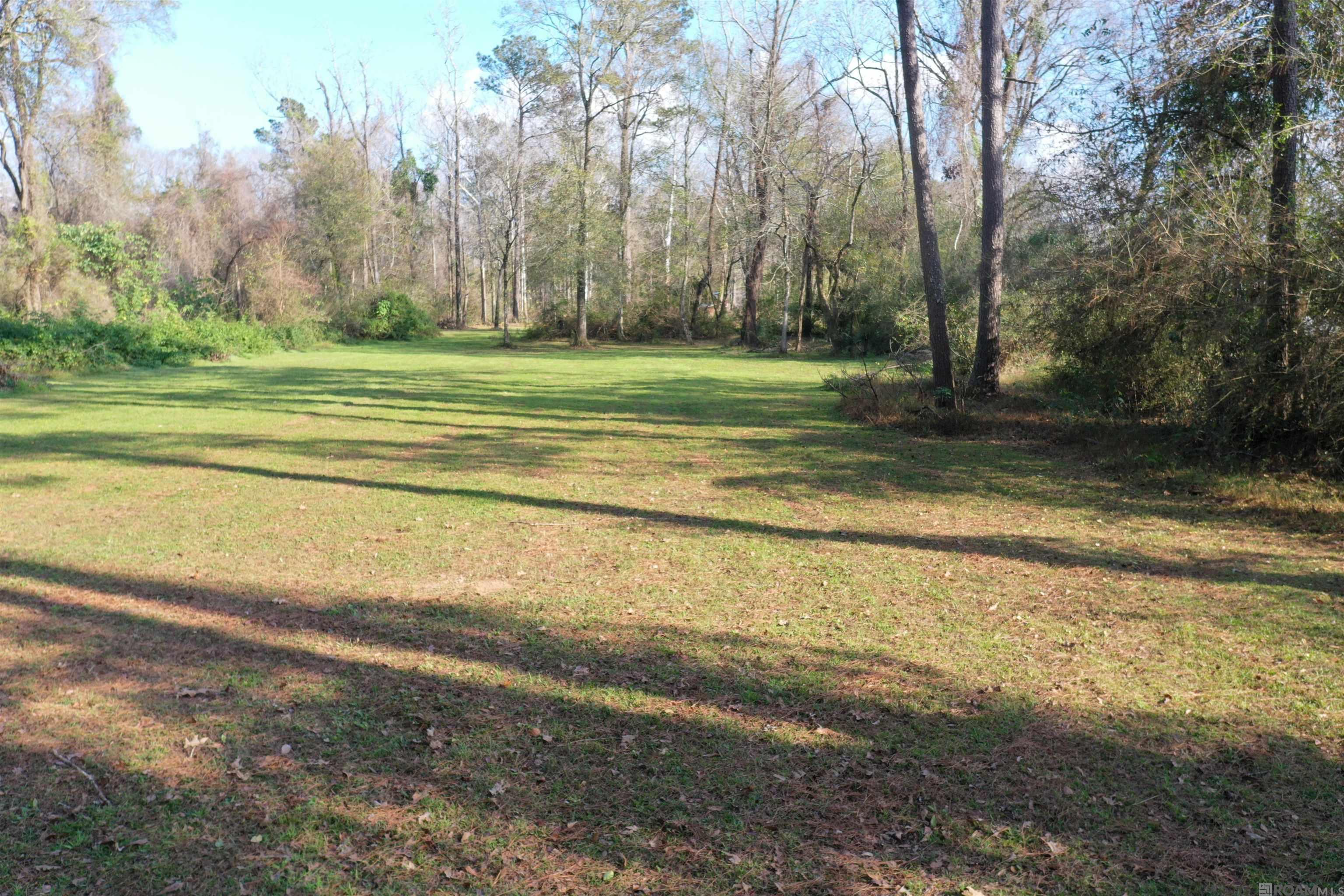 1.95 Acres La Hwy 1032, Denham Springs, Louisiana image 3