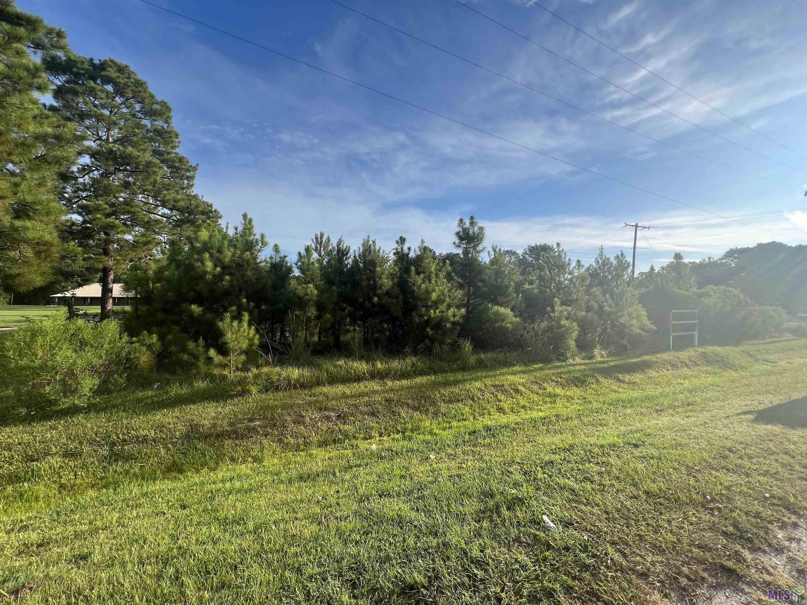 11355 Gurney Rd, Baker, Louisiana image 5