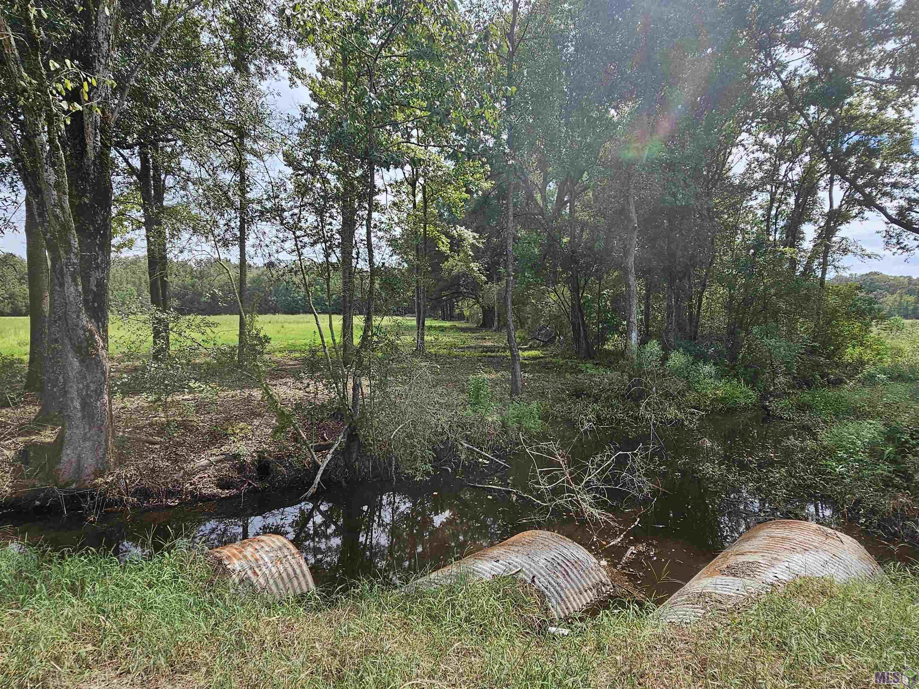 1128 Heck Young Rd, Baker, Louisiana image 3